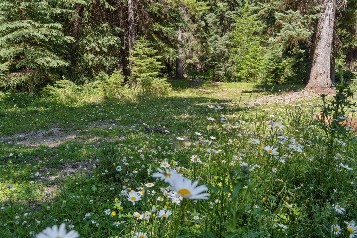 11710 Pinkham Creek Road Property Photo 60