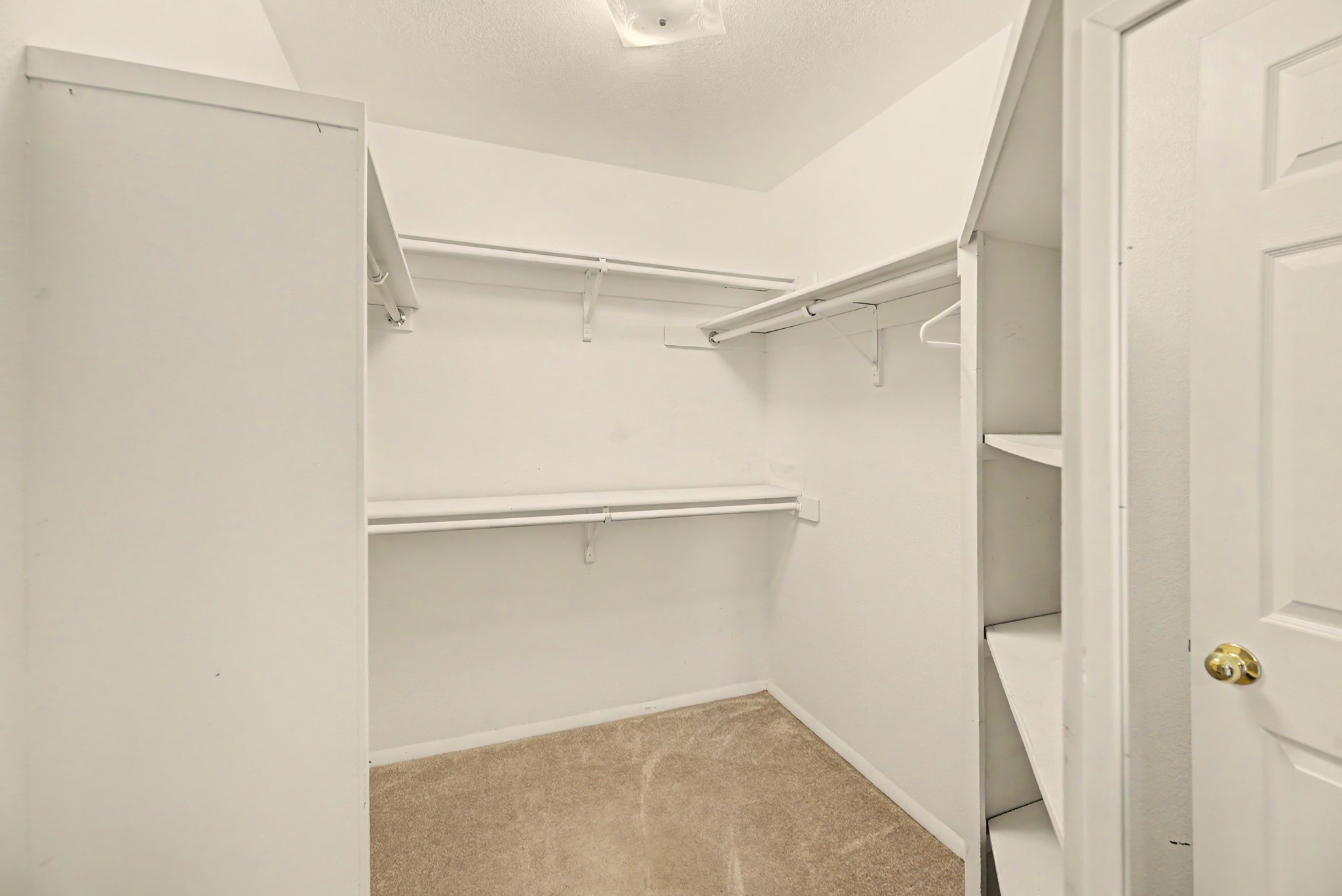 3911 Bullet Drive Property Photo 16