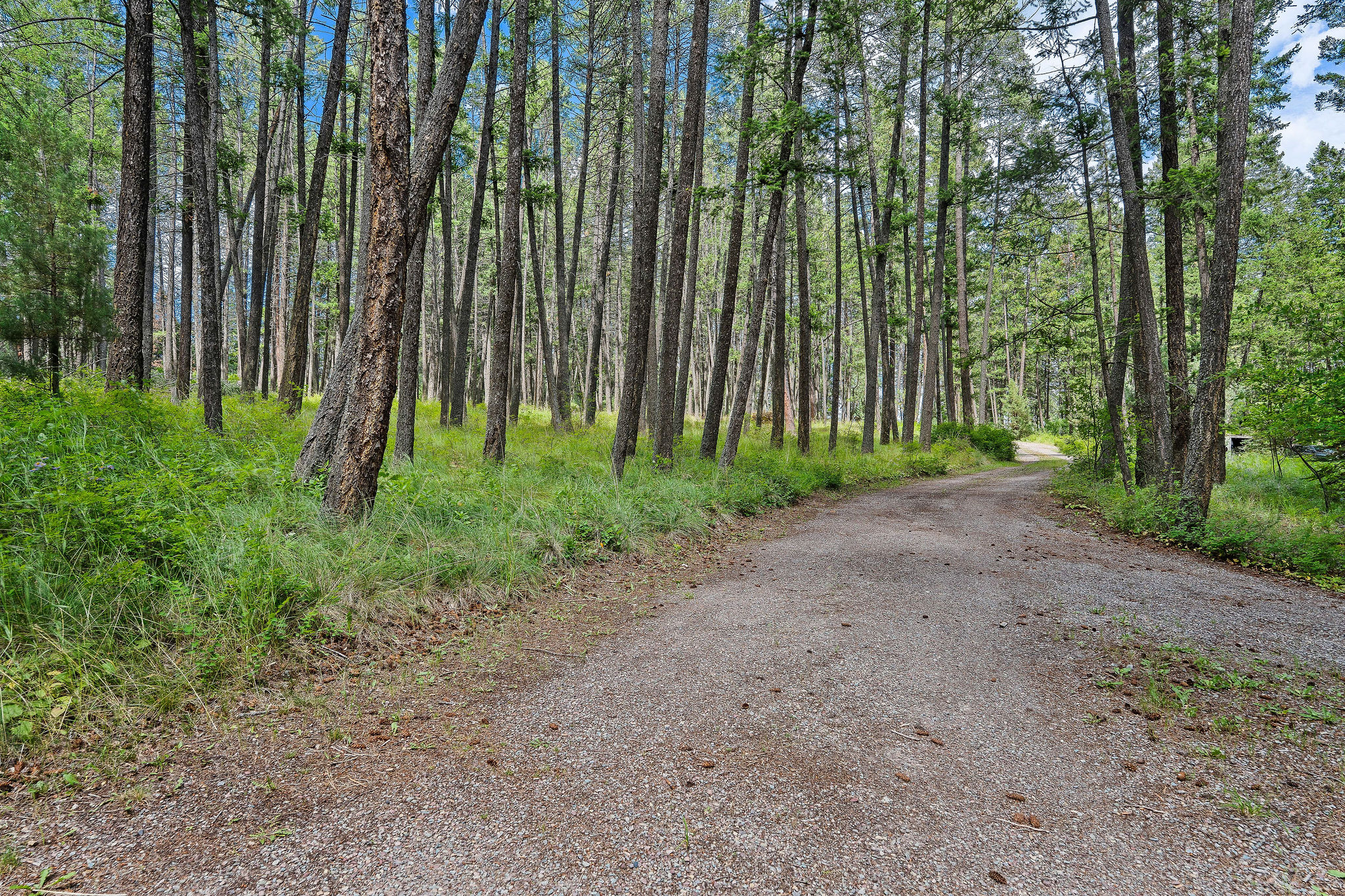 170 Caroline Point Road Property Photo 50