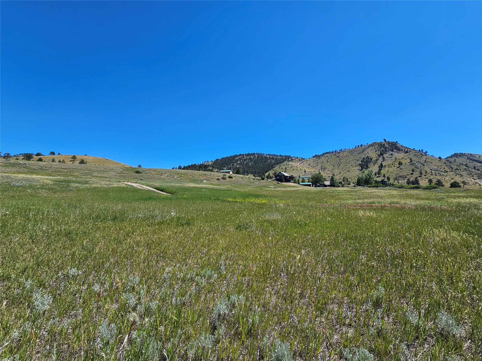 8376 American Bar Road Property Photo 6