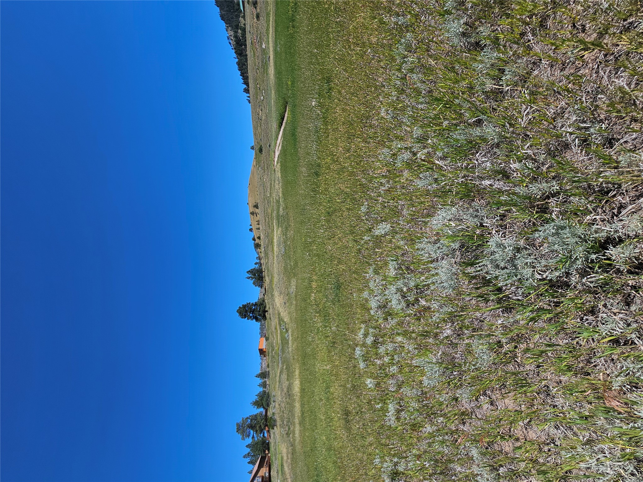8376 American Bar Road Property Photo 11