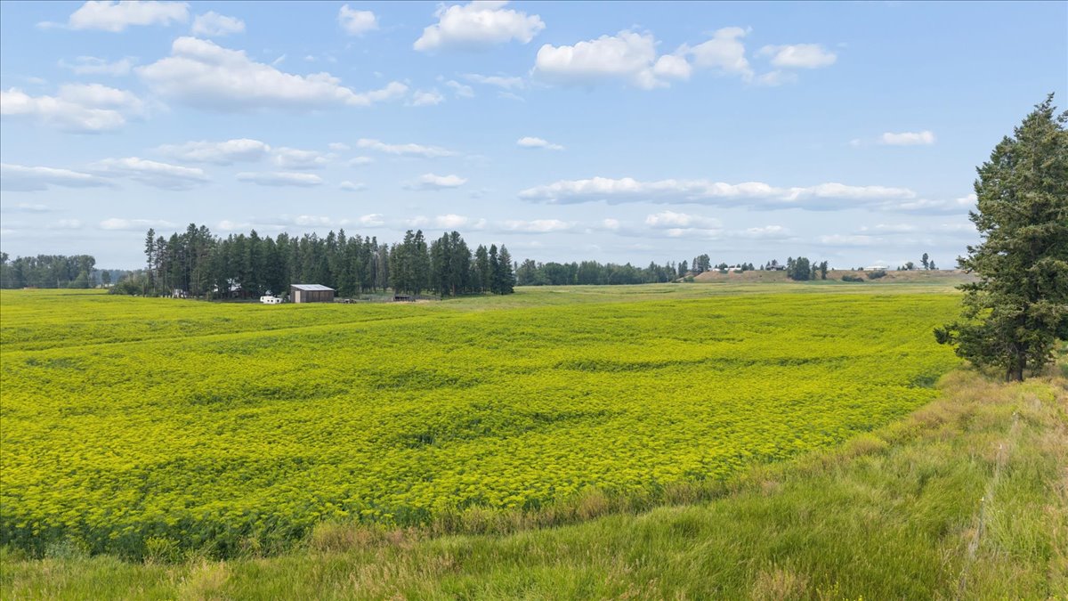 480 Egan Road Property Photo 38