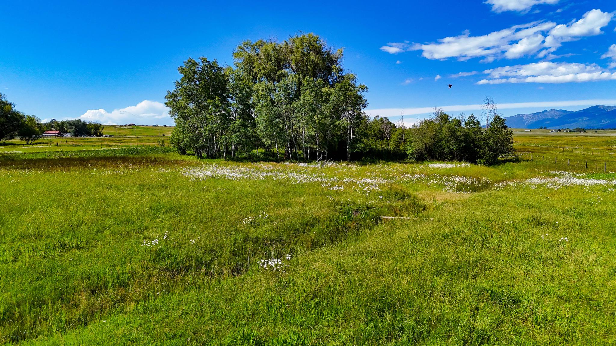 34830 E Post Creek Road Property Photo 18
