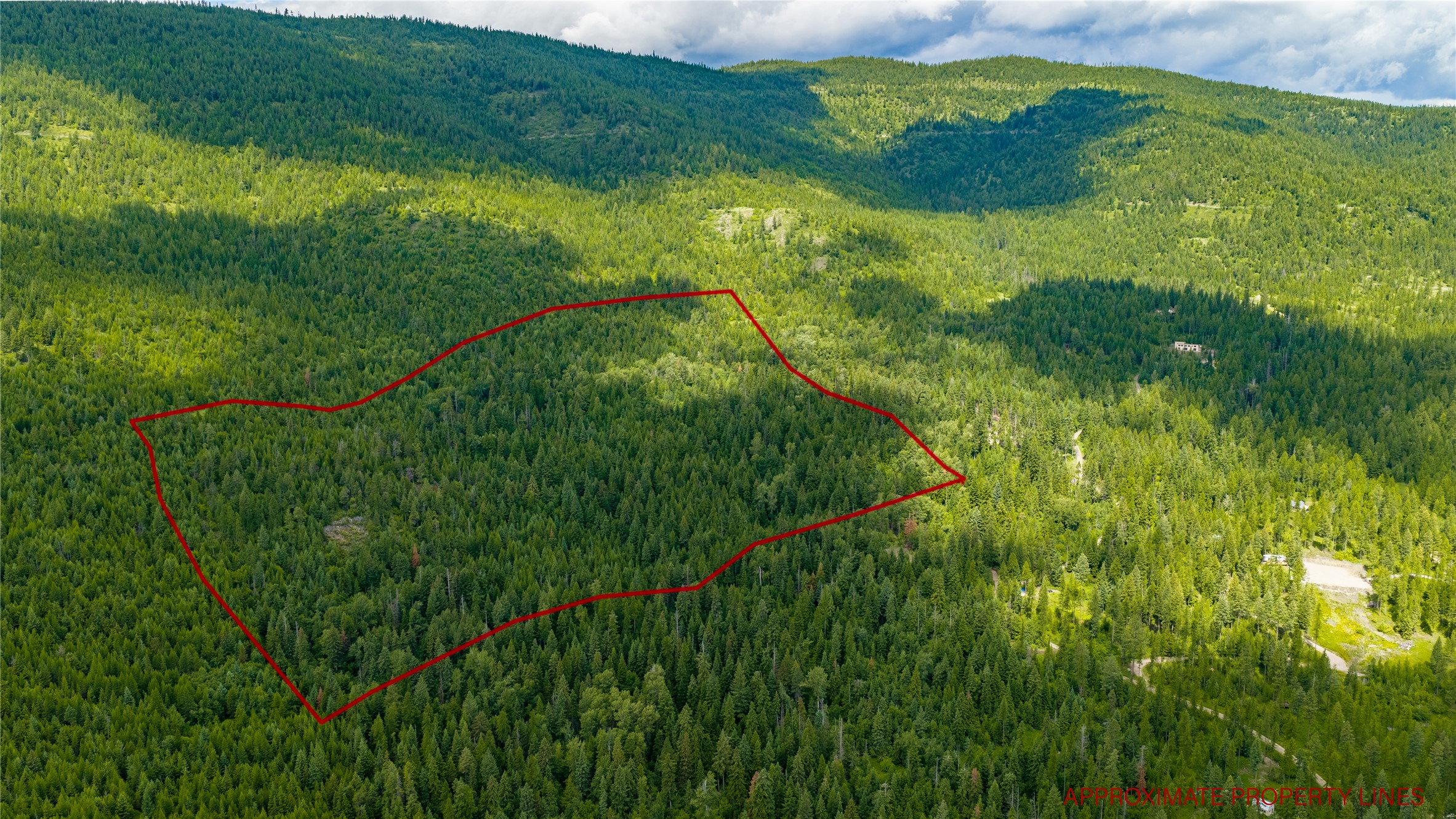 Nhn Peach Park Loop Property Photo 4