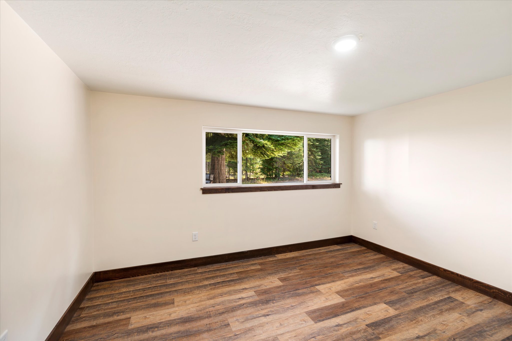439 Dasios Road Property Photo 18