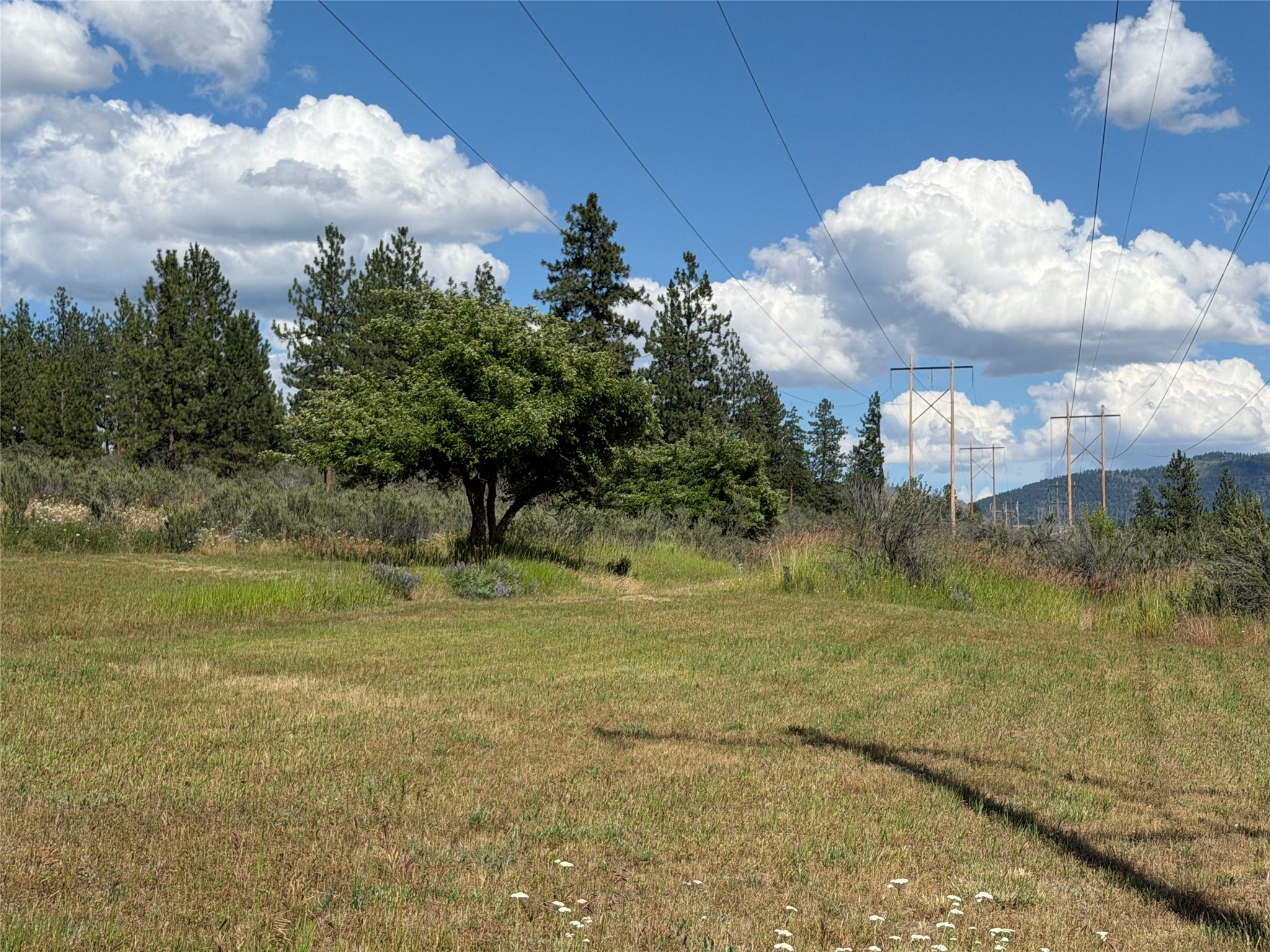 36 Sagebrush Lane Property Photo 26