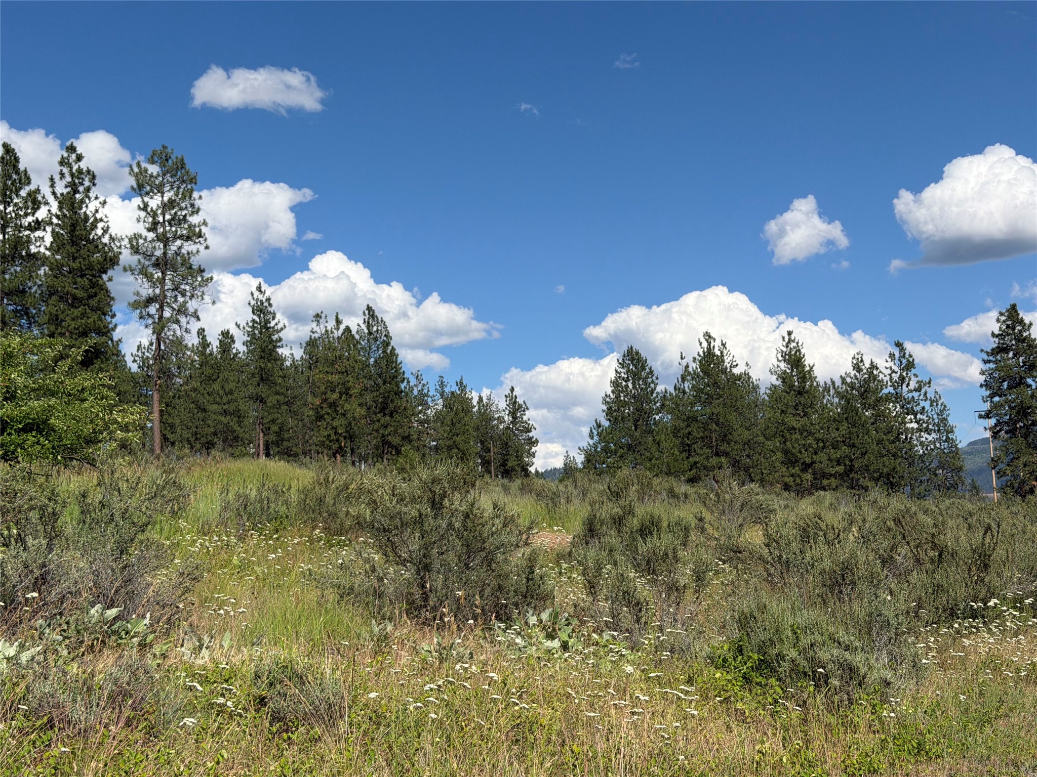 36 Sagebrush Lane Property Photo 27