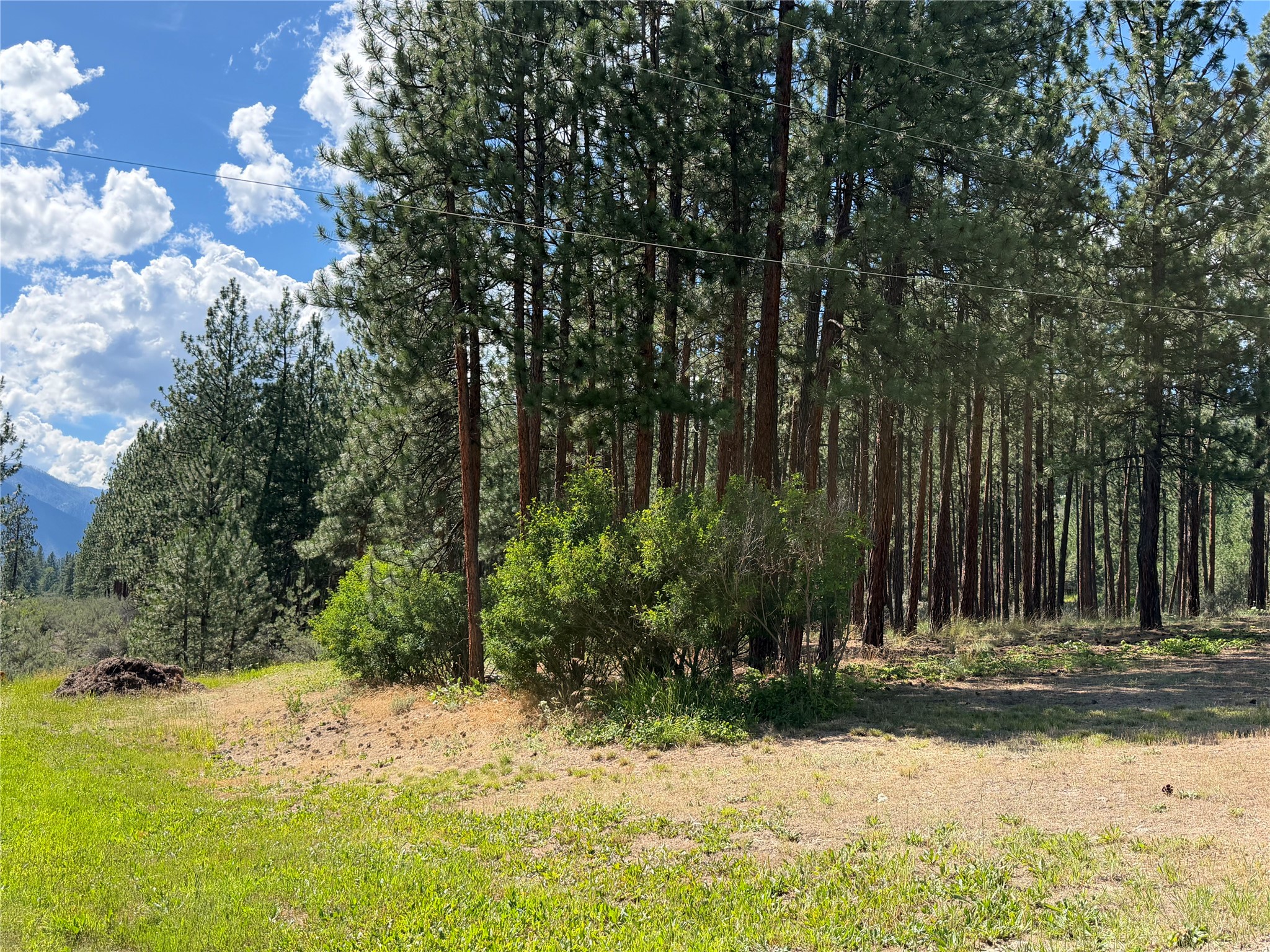 36 Sagebrush Lane Property Photo 29