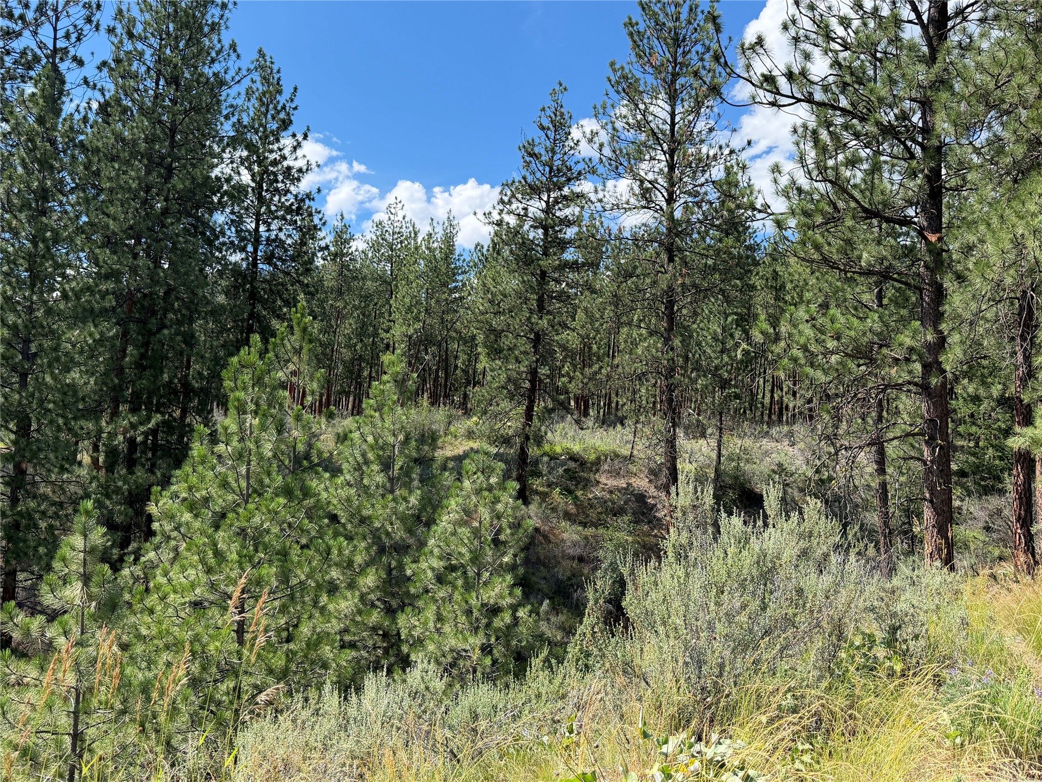 36 Sagebrush Lane Property Photo 33