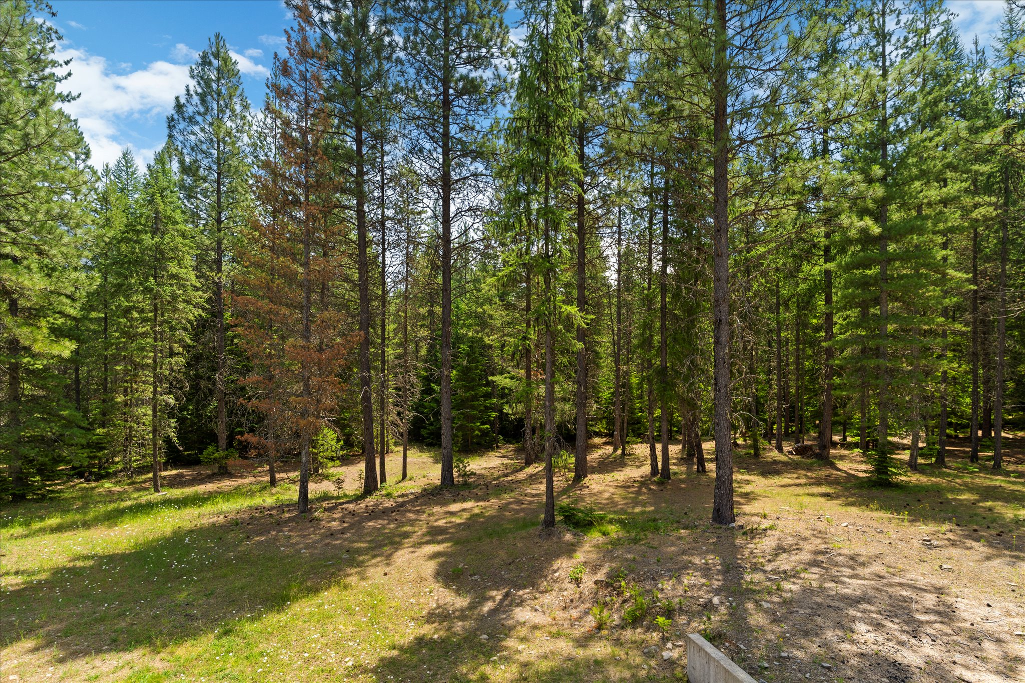 2230 Westshore Drive Property Photo 57