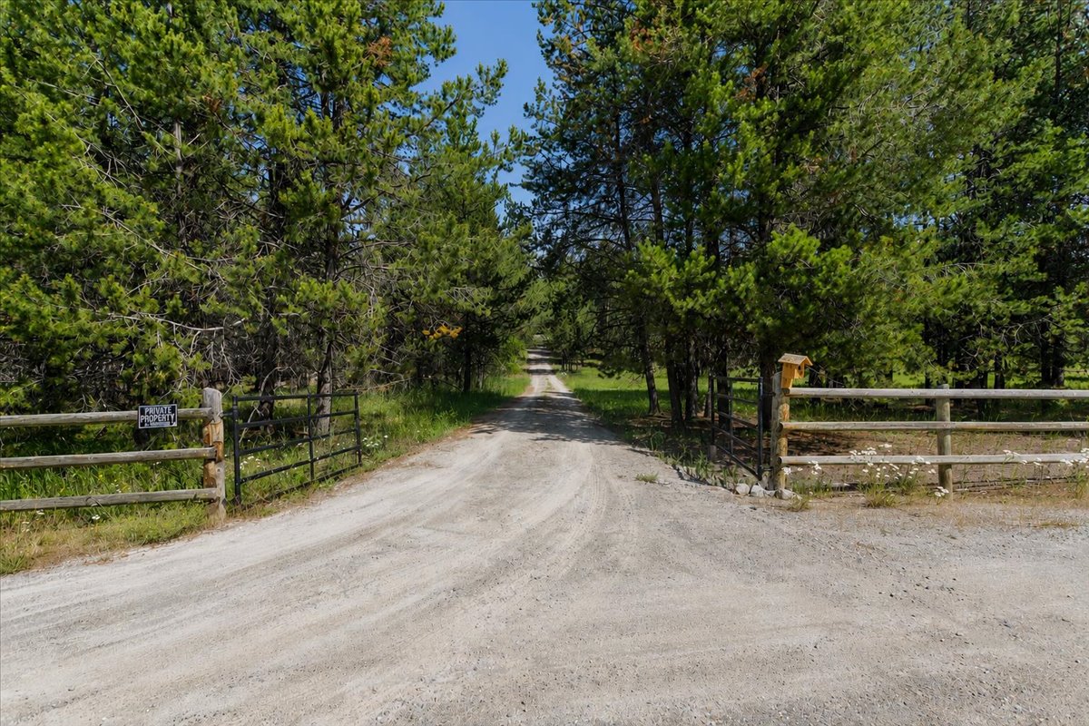 187 Bear Cat Trail Property Photo 2
