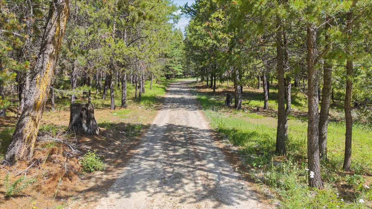 187 Bear Cat Trail Property Photo 3