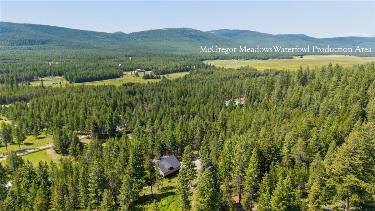 187 Bear Cat Trail Property Photo 33