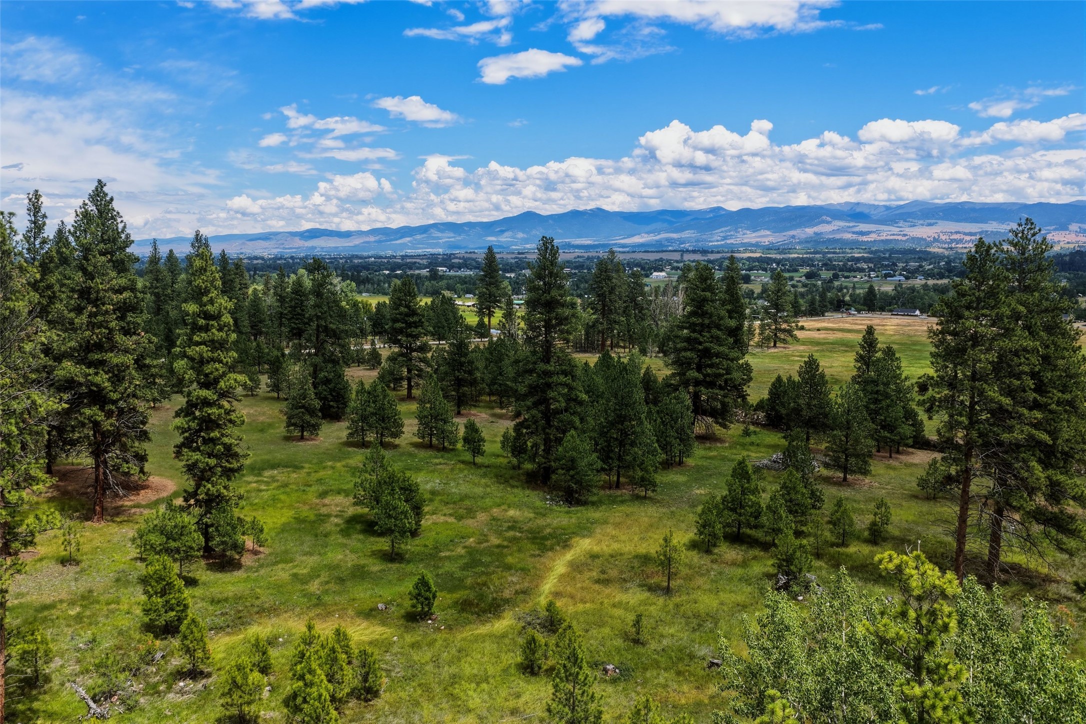 977 Us Highway 93 S Property Photo 4