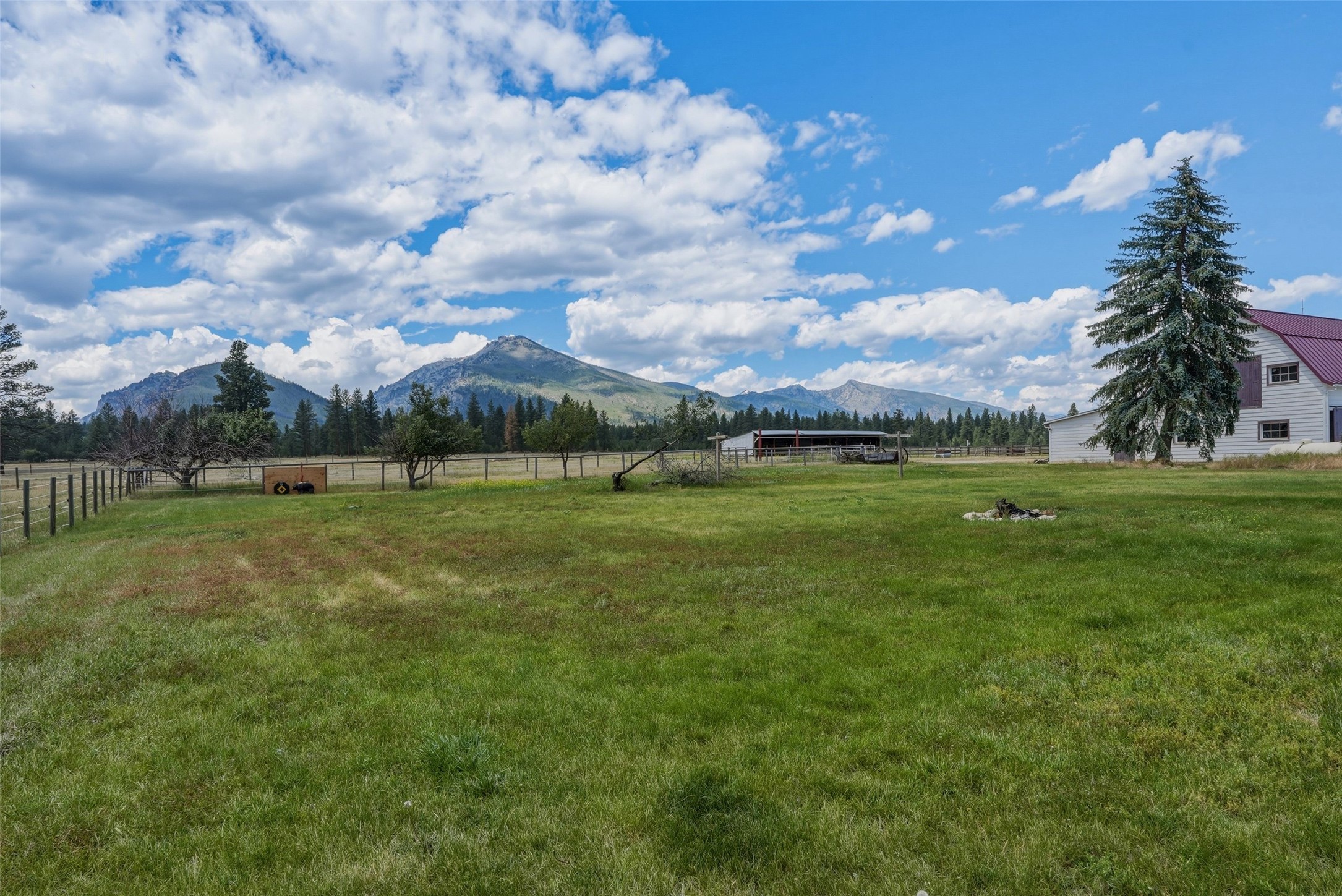 977 Us Highway 93 S Property Photo 5