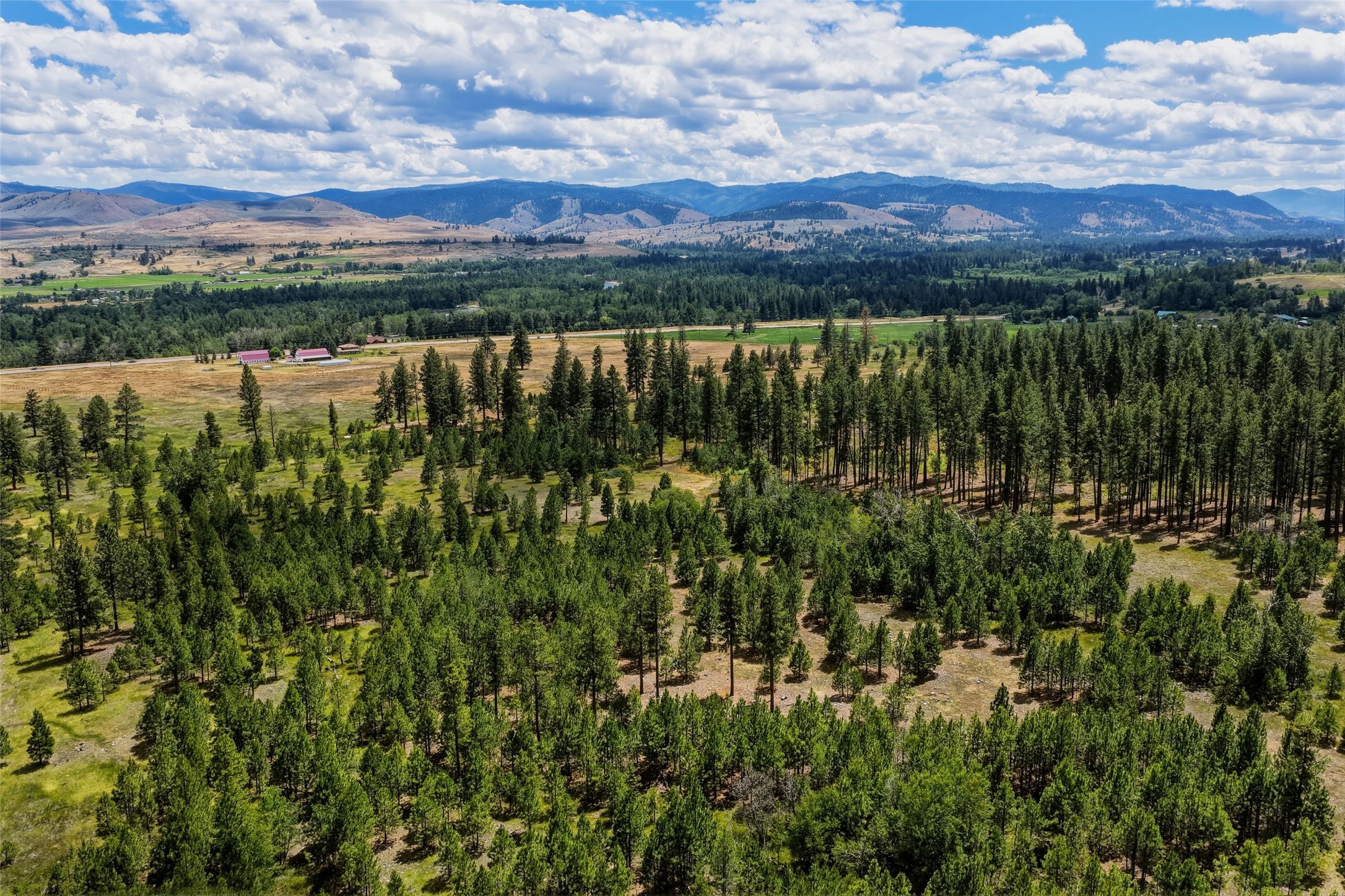 977 Us Highway 93 S Property Photo 10