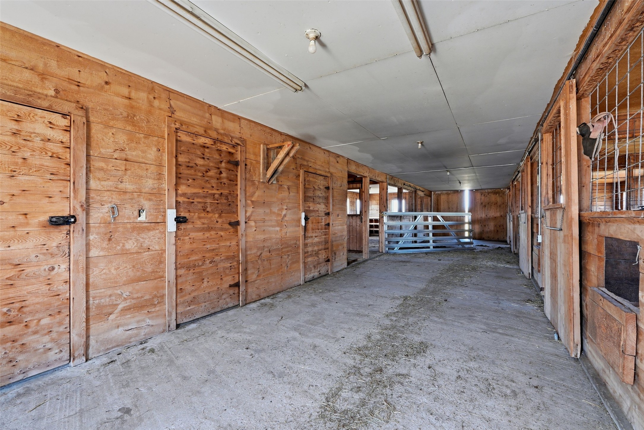 977 Us Highway 93 S Property Photo 56