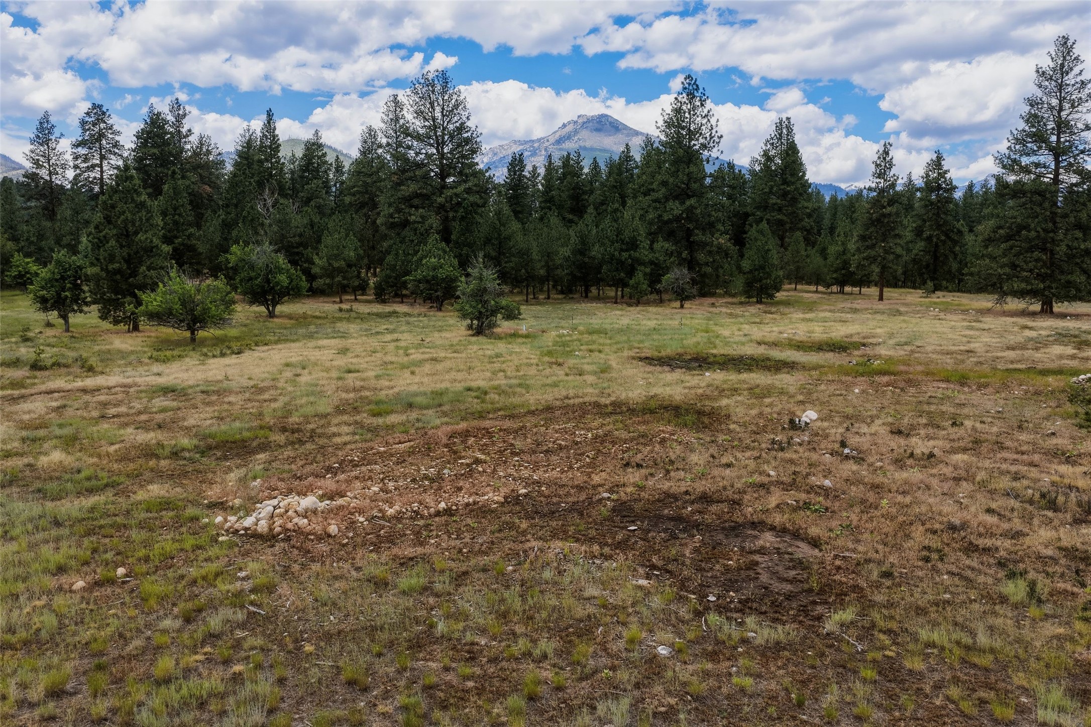 977 Us Highway 93 S Property Photo 79
