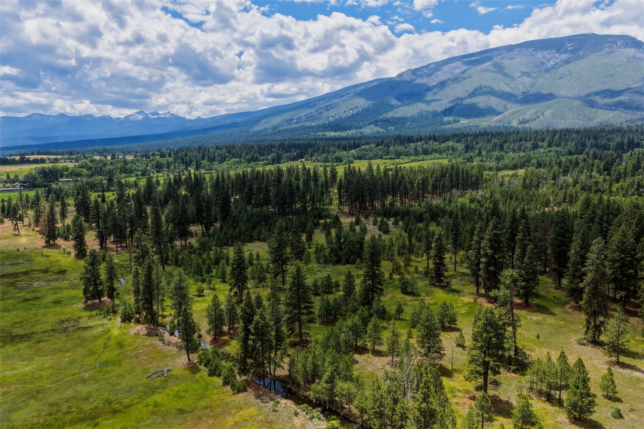 977 Us Highway 93 S Property Photo 90