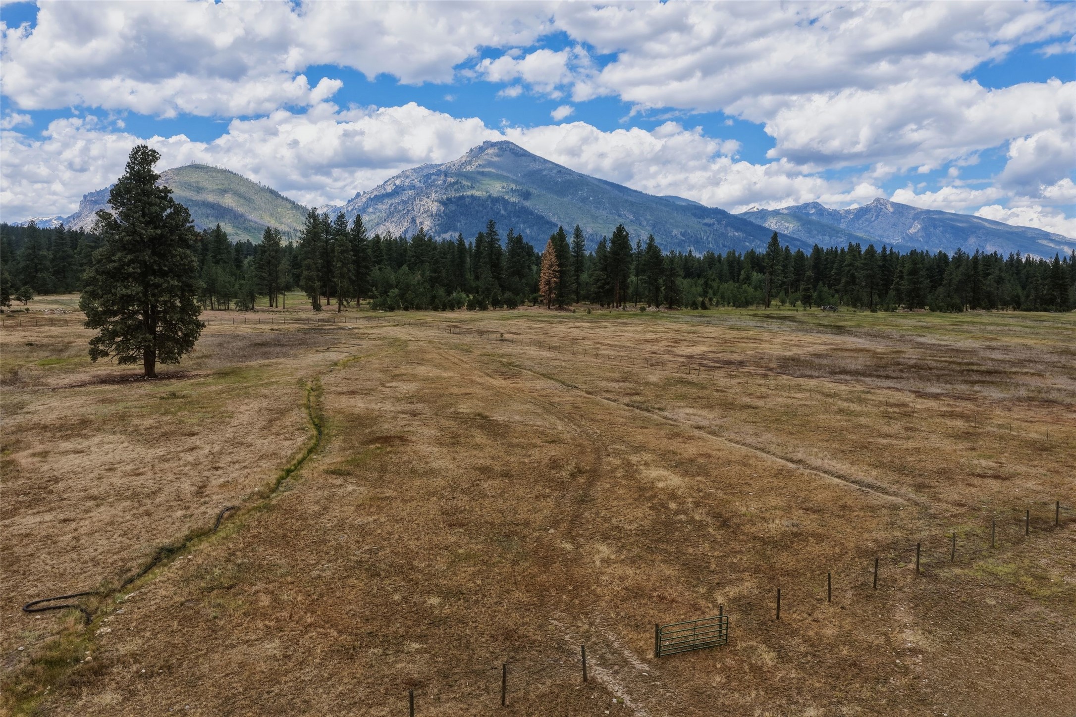 977 Us Hwy 93 S Property Photo 77