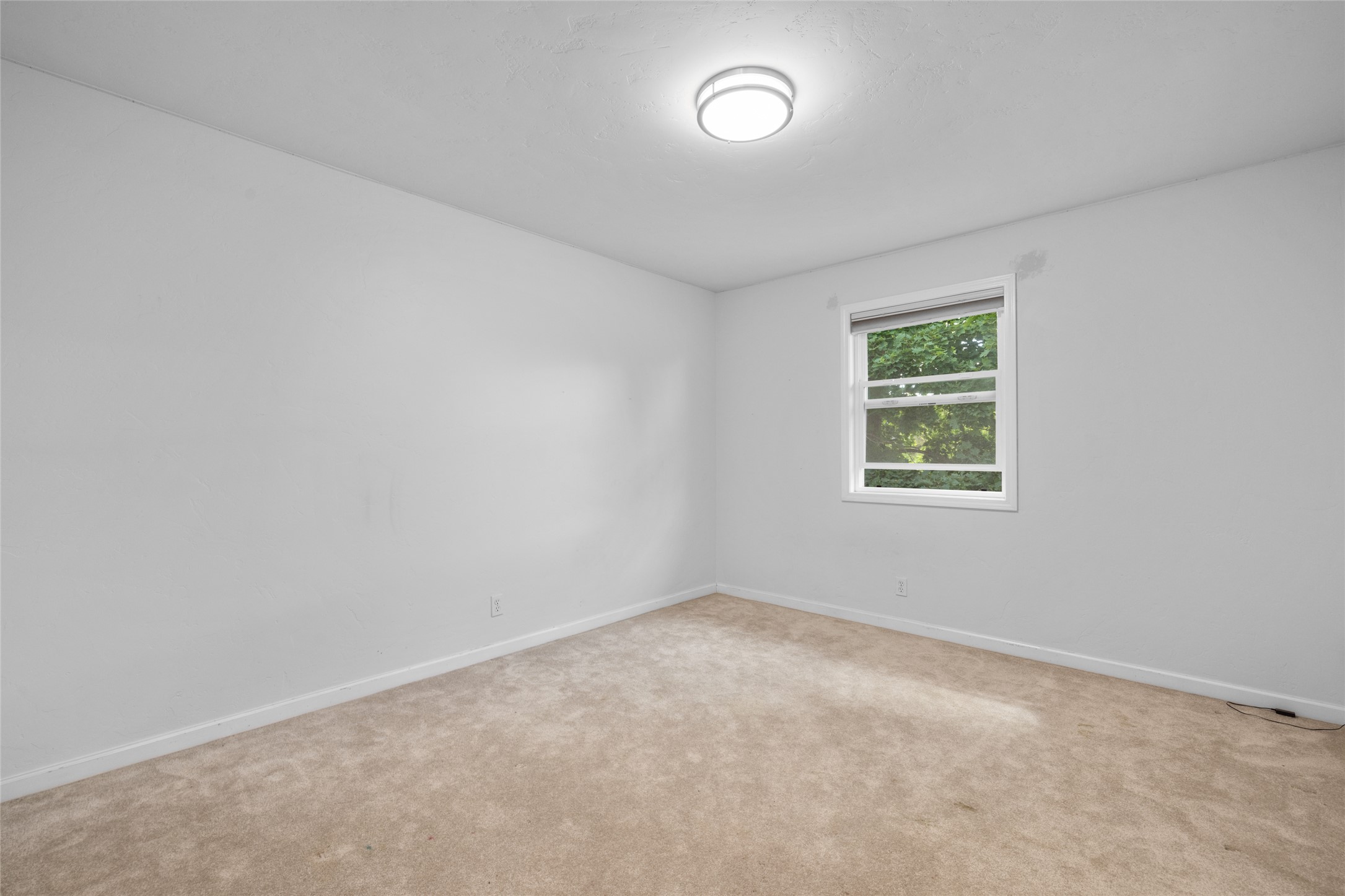55 Lochness Avenue Property Photo 22