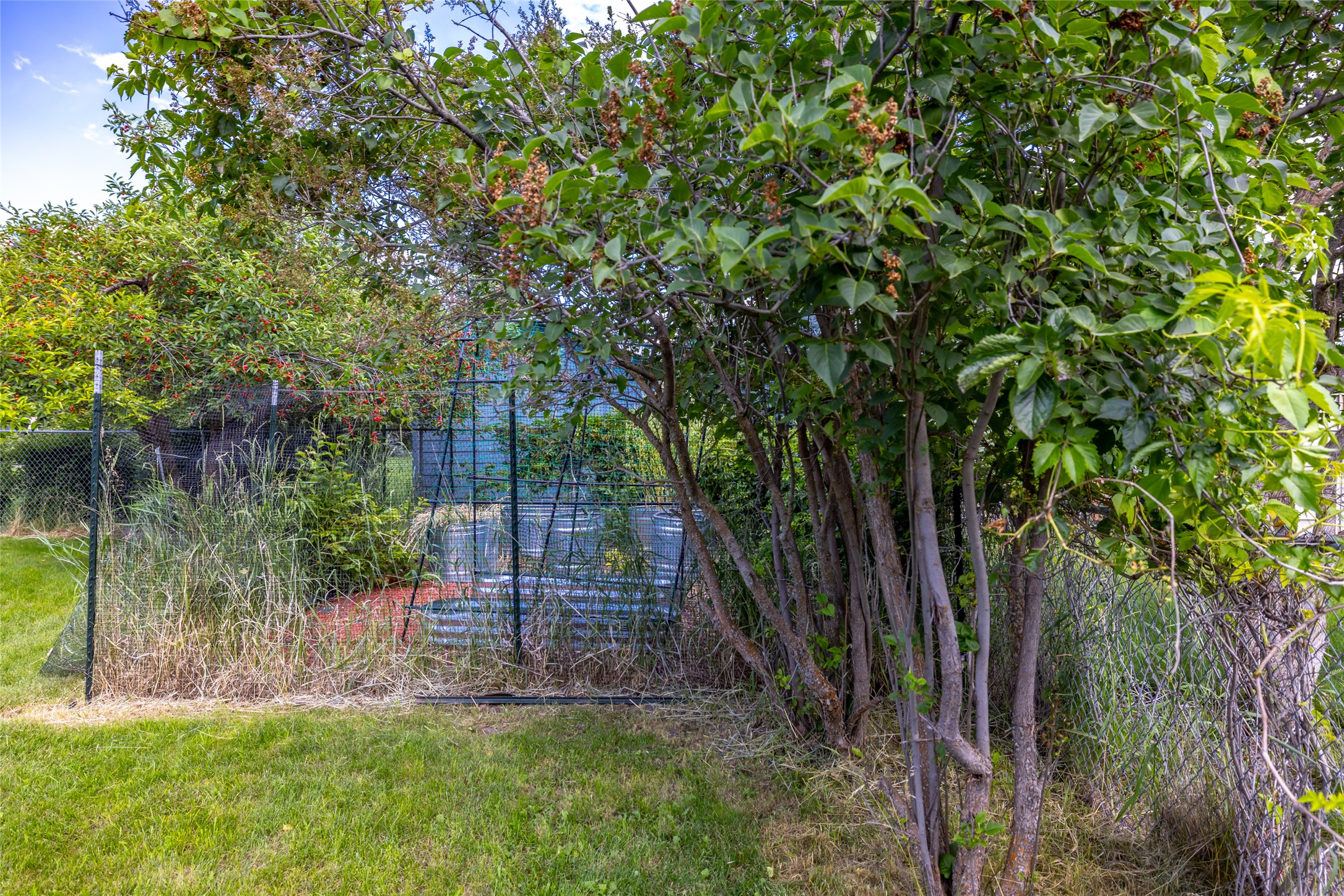 55 Lochness Avenue Property Photo 57