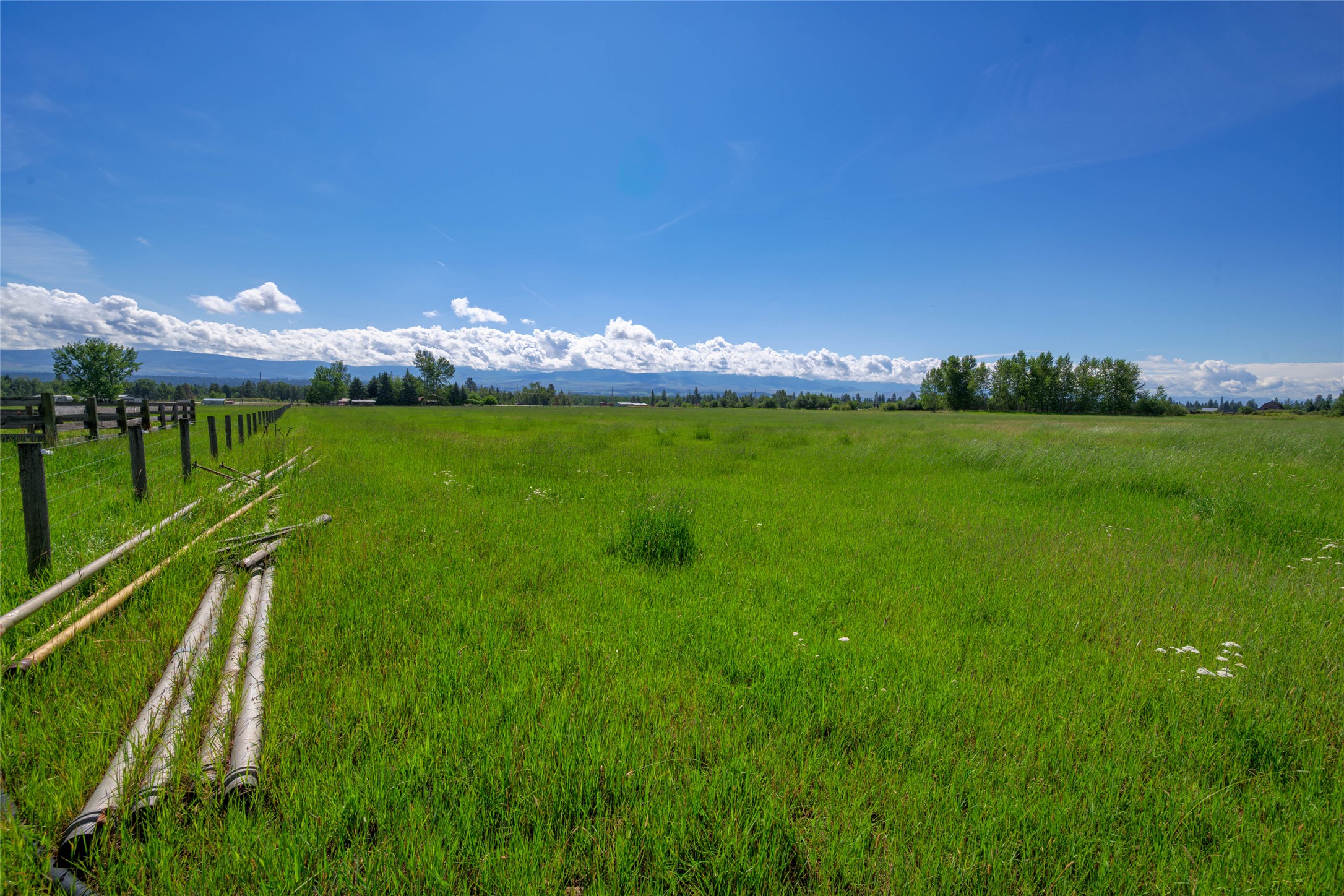 Nhn Mittower Road Property Photo 14