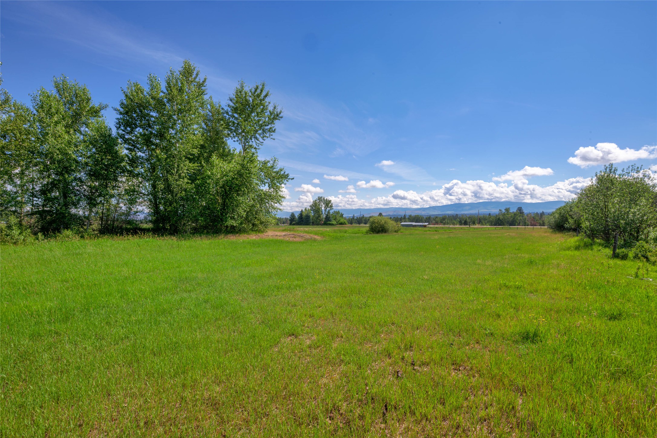 Nhn Mittower Road Property Photo 29