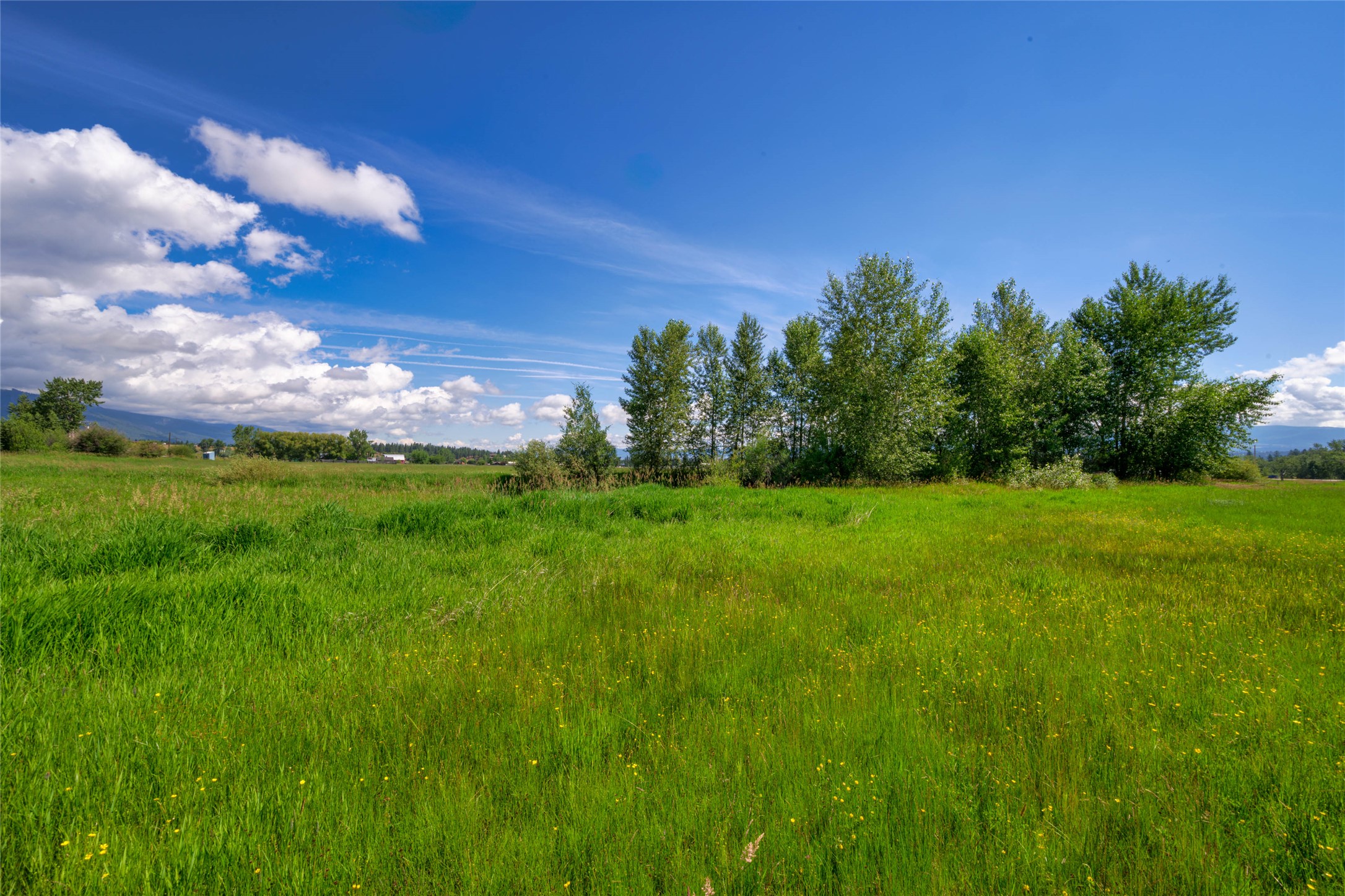 Nhn Mittower Road Property Photo 30