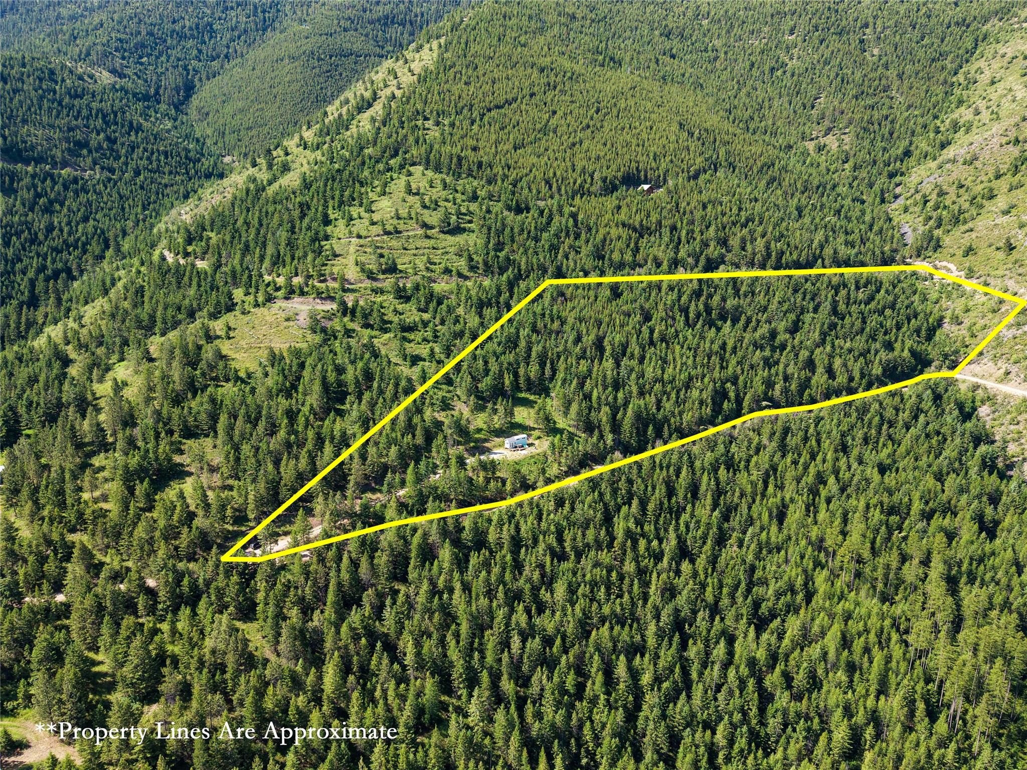 2398 Larch Camp Road Property Photo 5