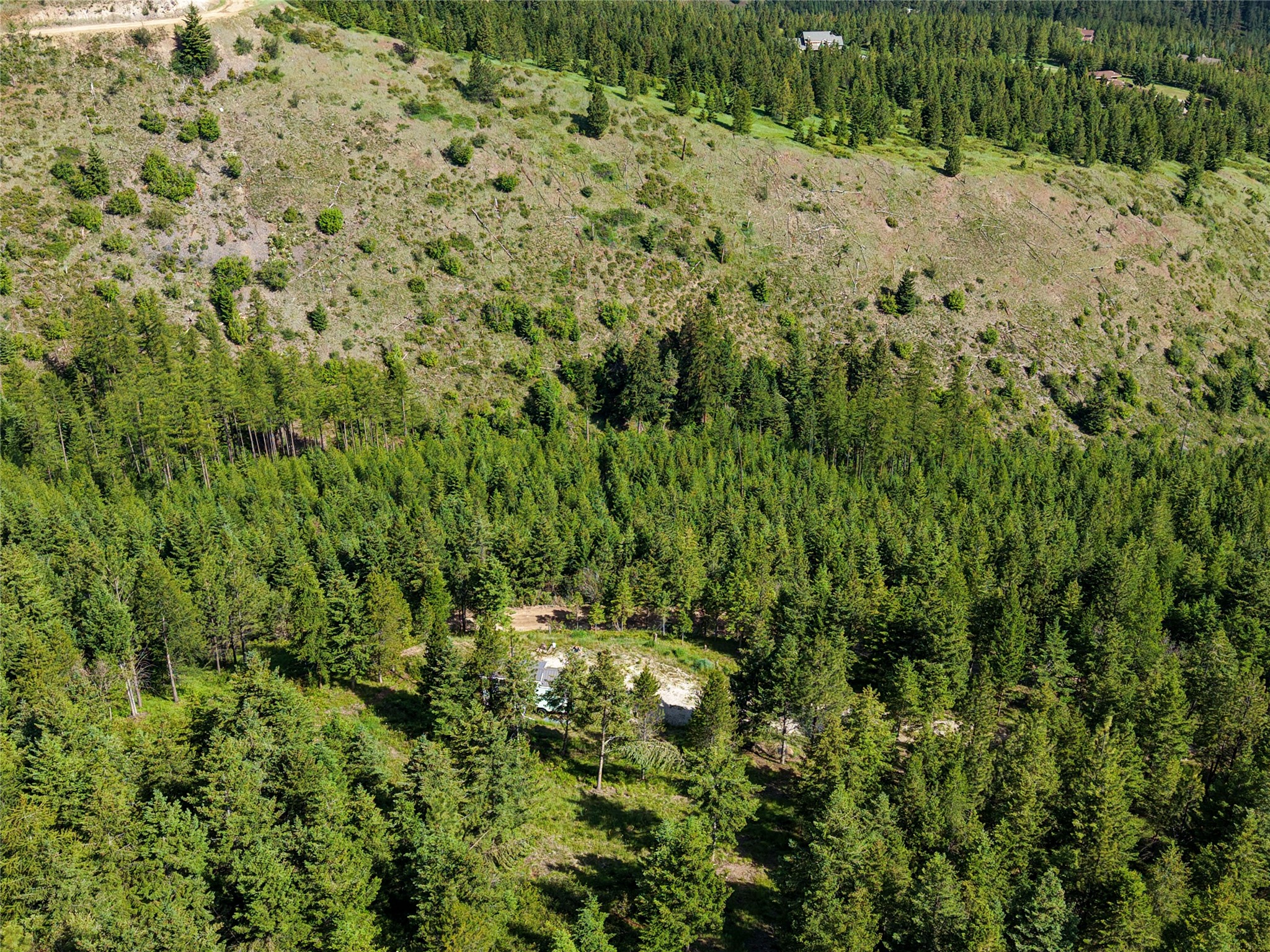 2398 Larch Camp Road Property Photo 9