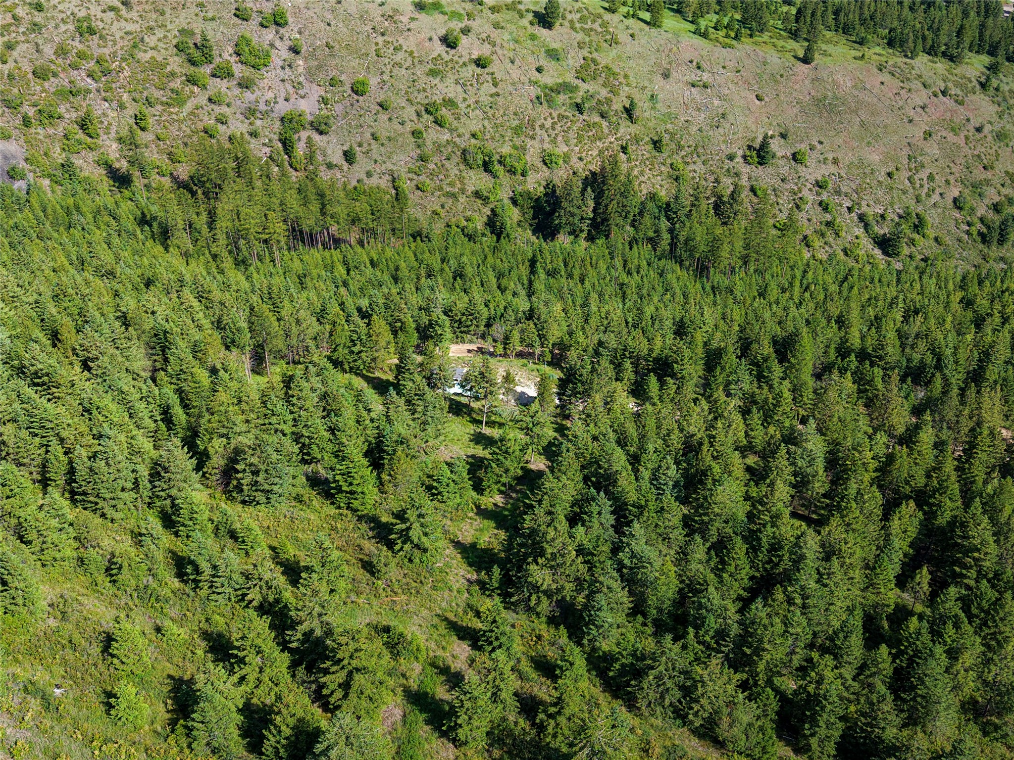 2398 Larch Camp Road Property Photo 10