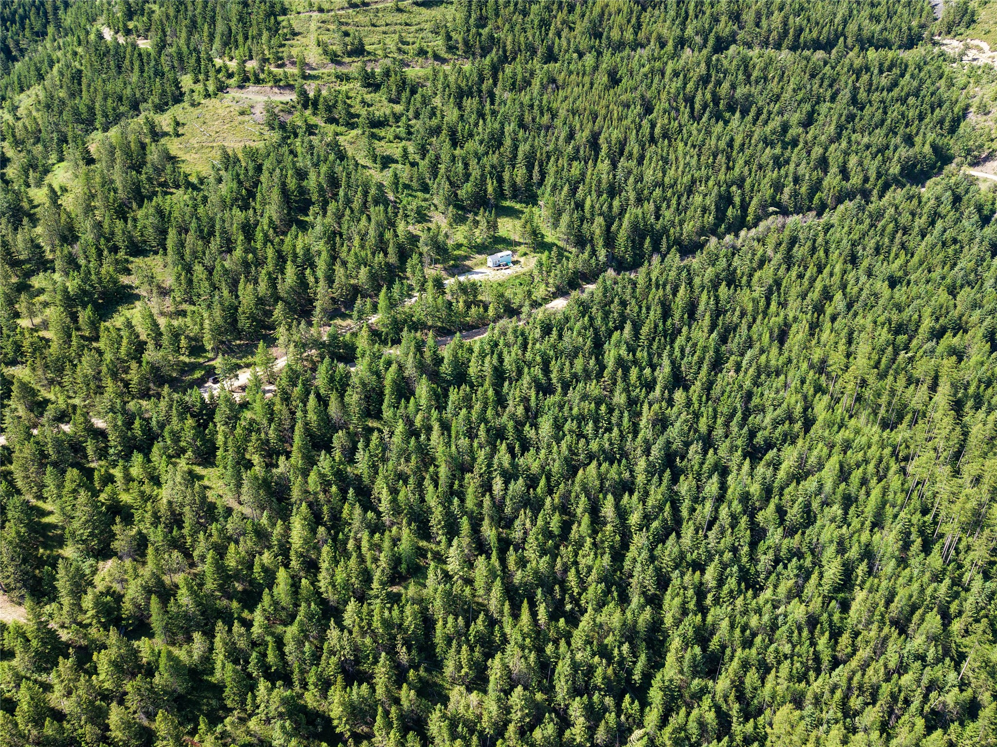 2398 Larch Camp Road Property Photo 17