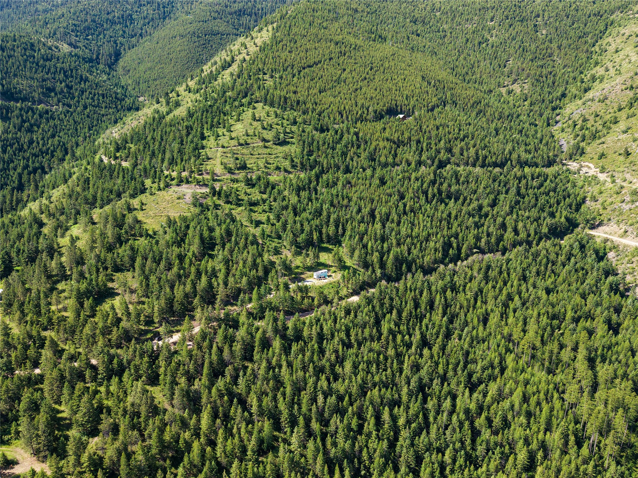2398 Larch Camp Road Property Photo 18