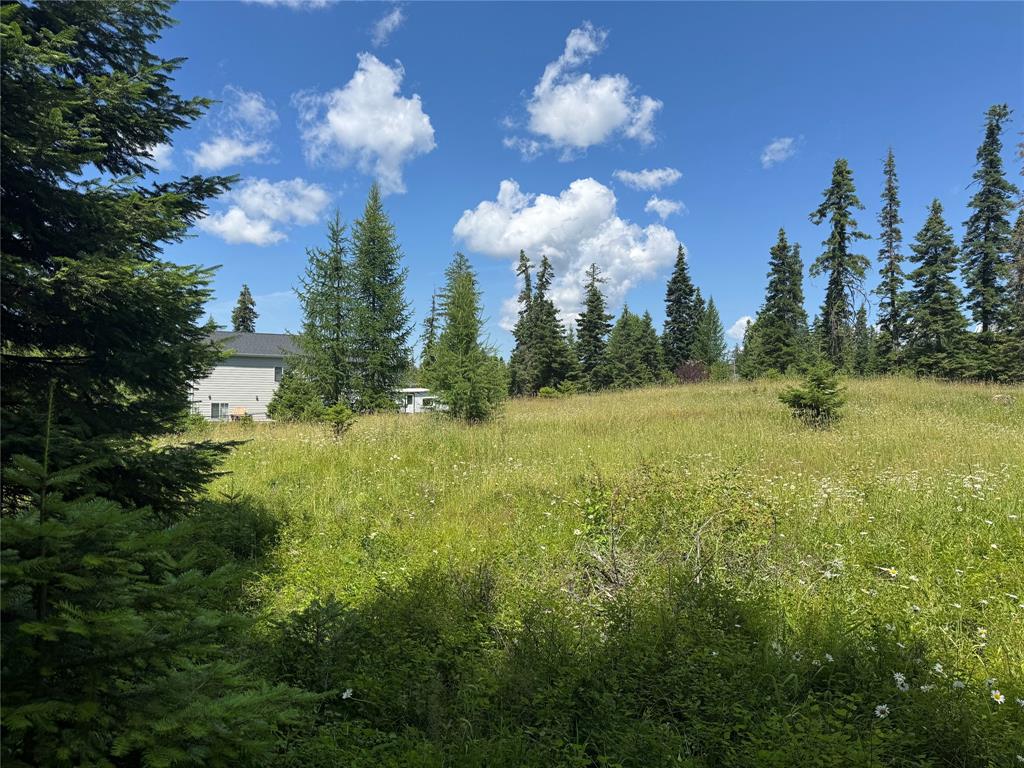 13643 Sundance Trail Property Photo 5