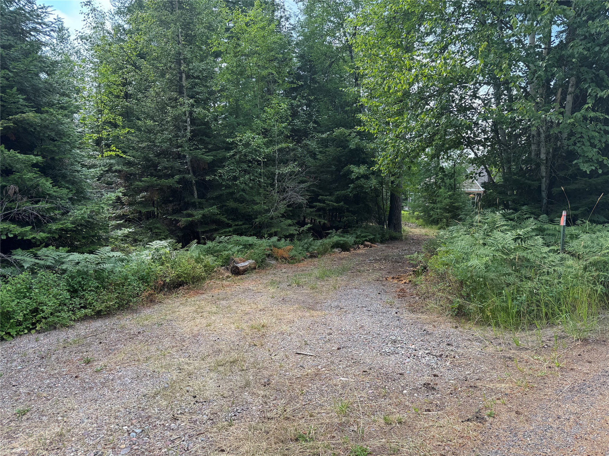 13643 Sundance Trail Property Photo 13
