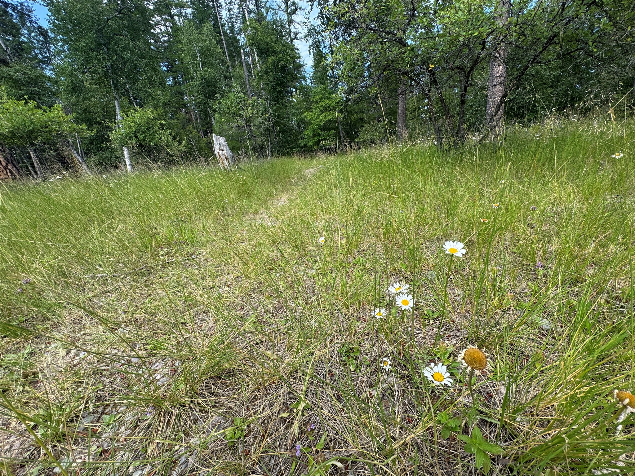 13643 Sundance Trail Property Photo 16