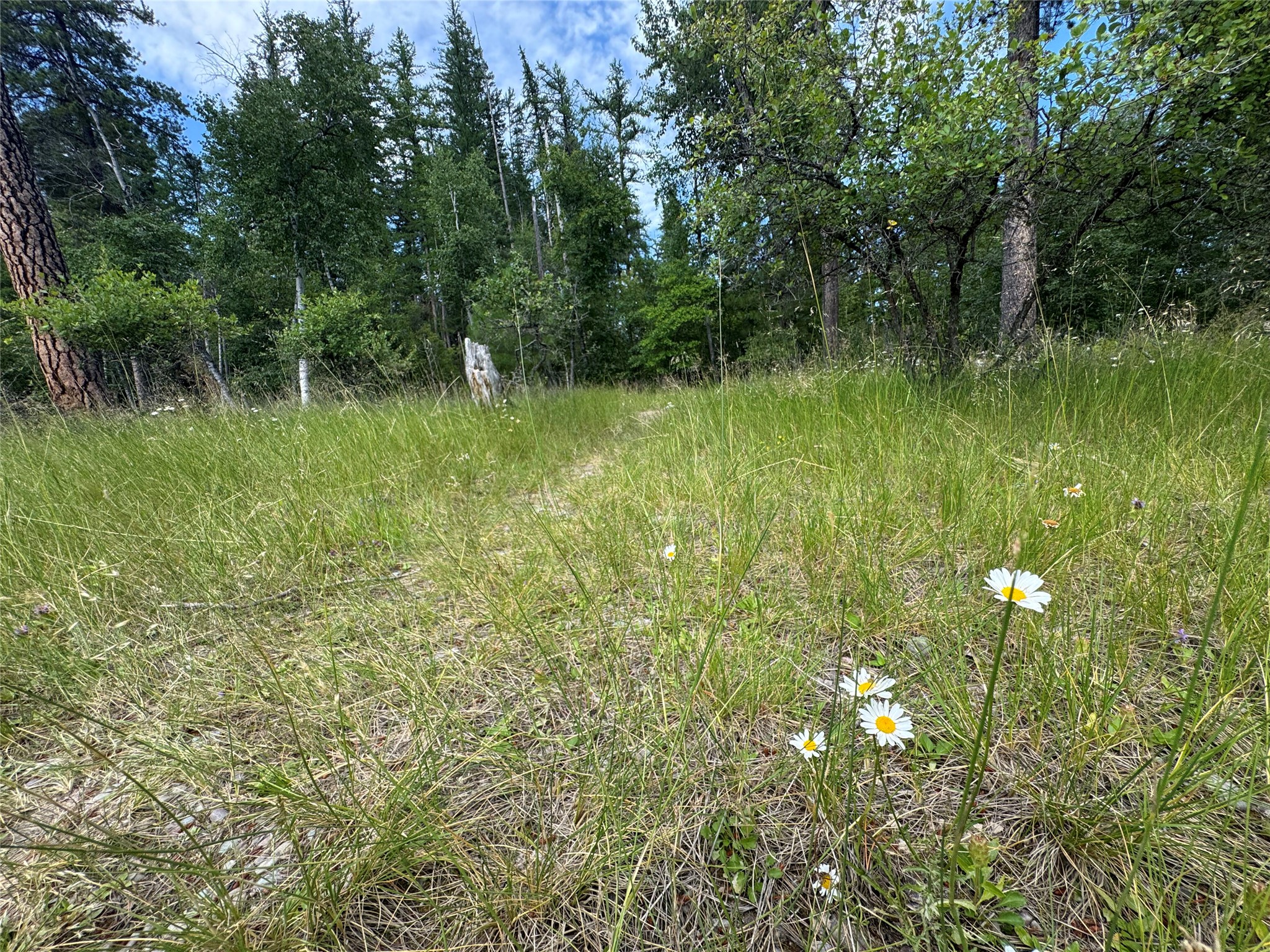 13643 Sundance Trail Property Photo 17