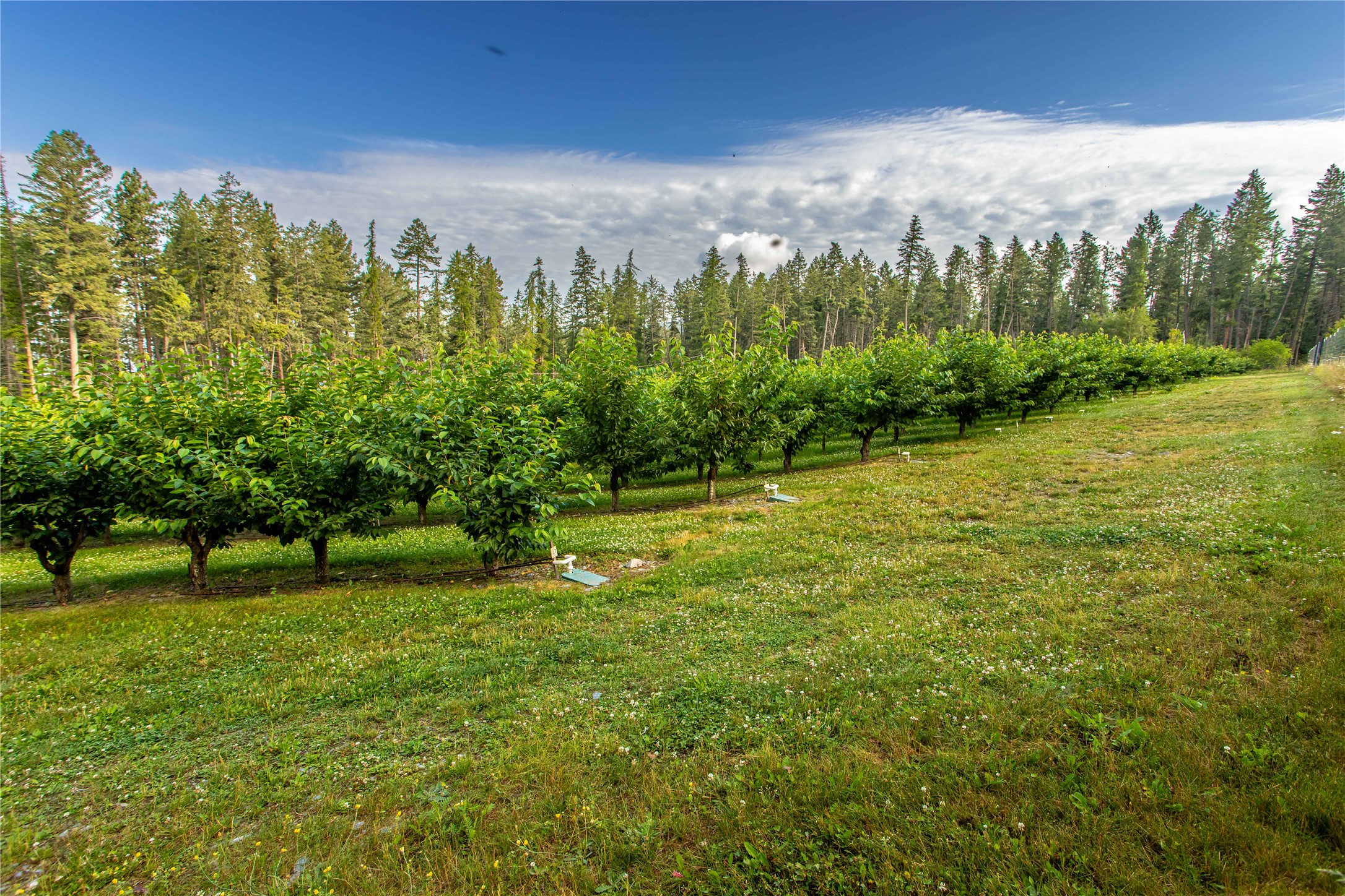 338 Flathead Lodge Road Property Photo 45