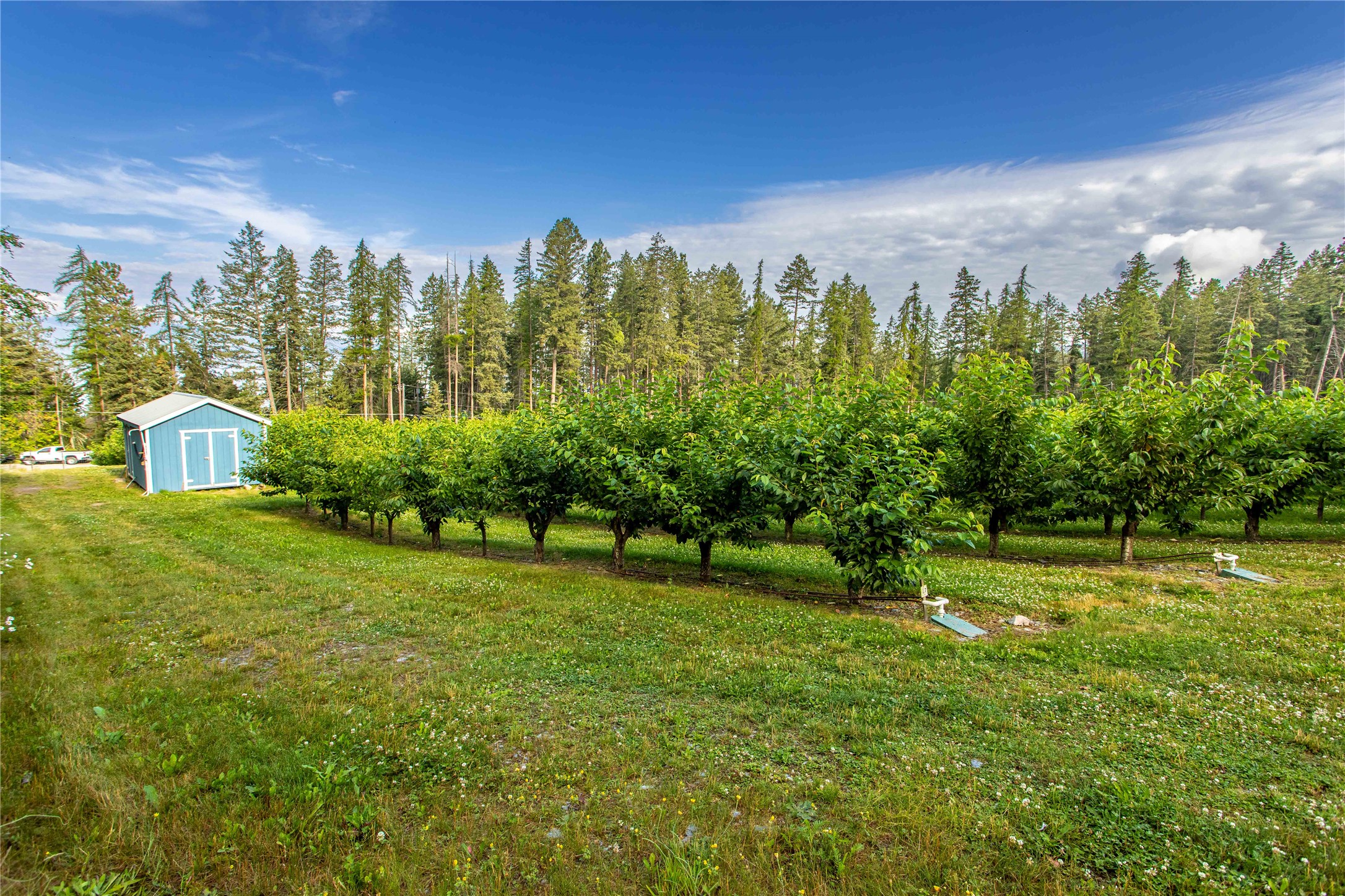 338 Flathead Lodge Road Property Photo 48