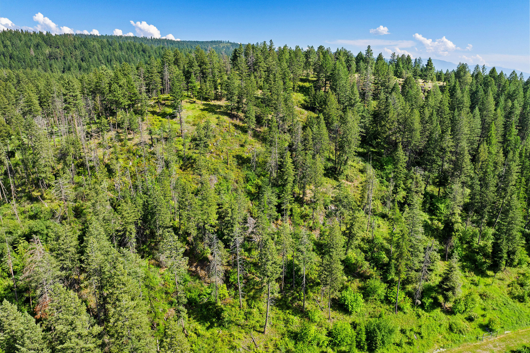 338 Flathead Lodge Road Property Photo 59