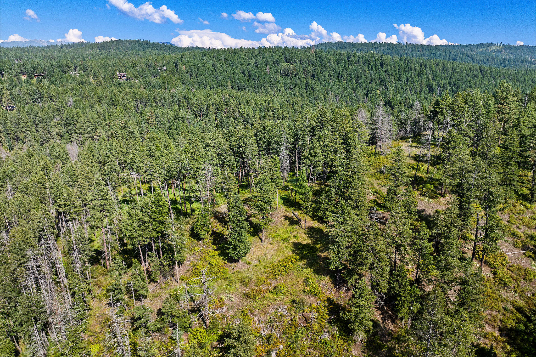 338 Flathead Lodge Road Property Photo 60