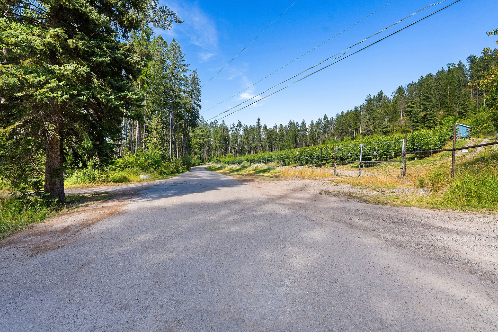 338 Flathead Lodge Road Property Photo 62