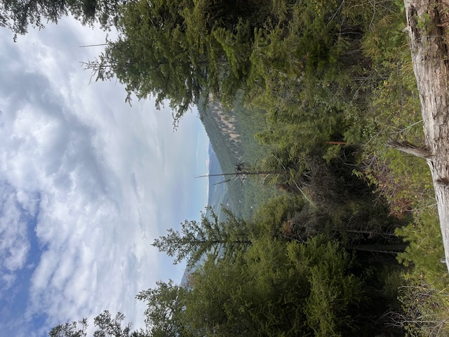 695 Steep Creek Road Property Photo 44