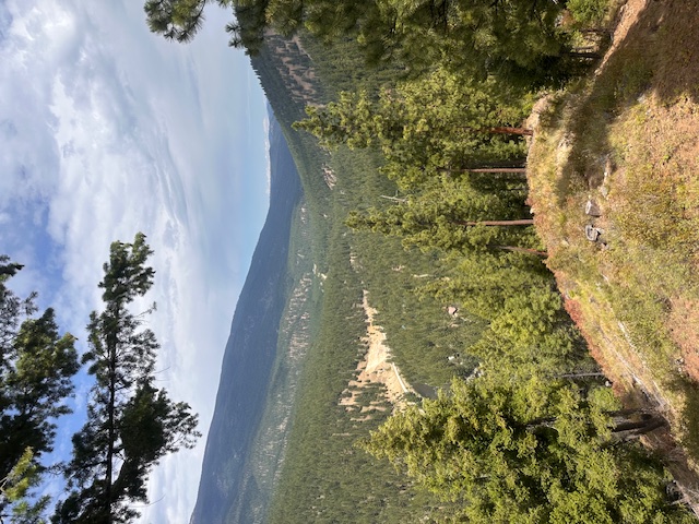 695 Steep Creek Road Property Photo 49
