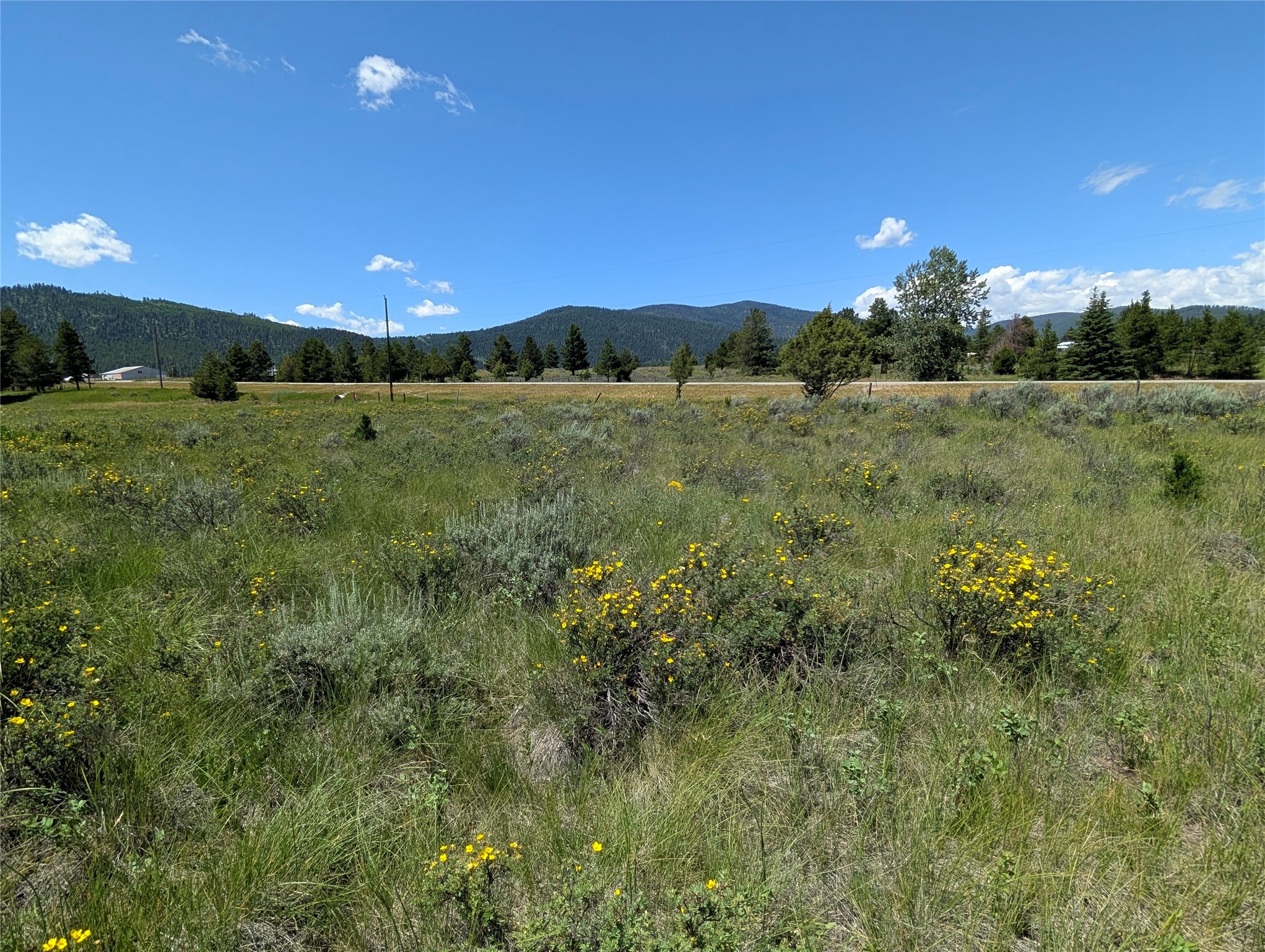 4070 Dutchman Lane Property Photo 3