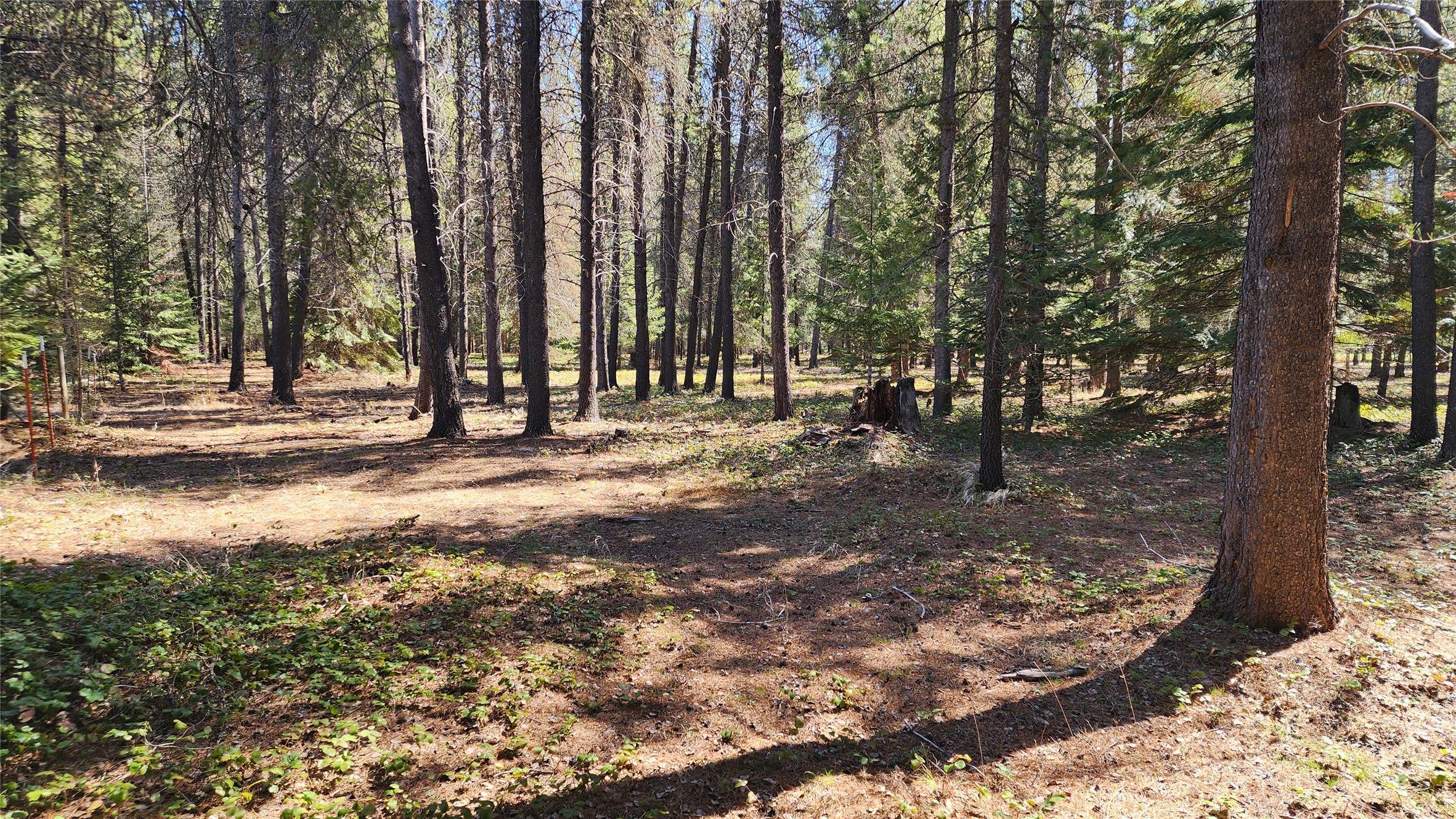 143 Horizon Drive Property Photo 2