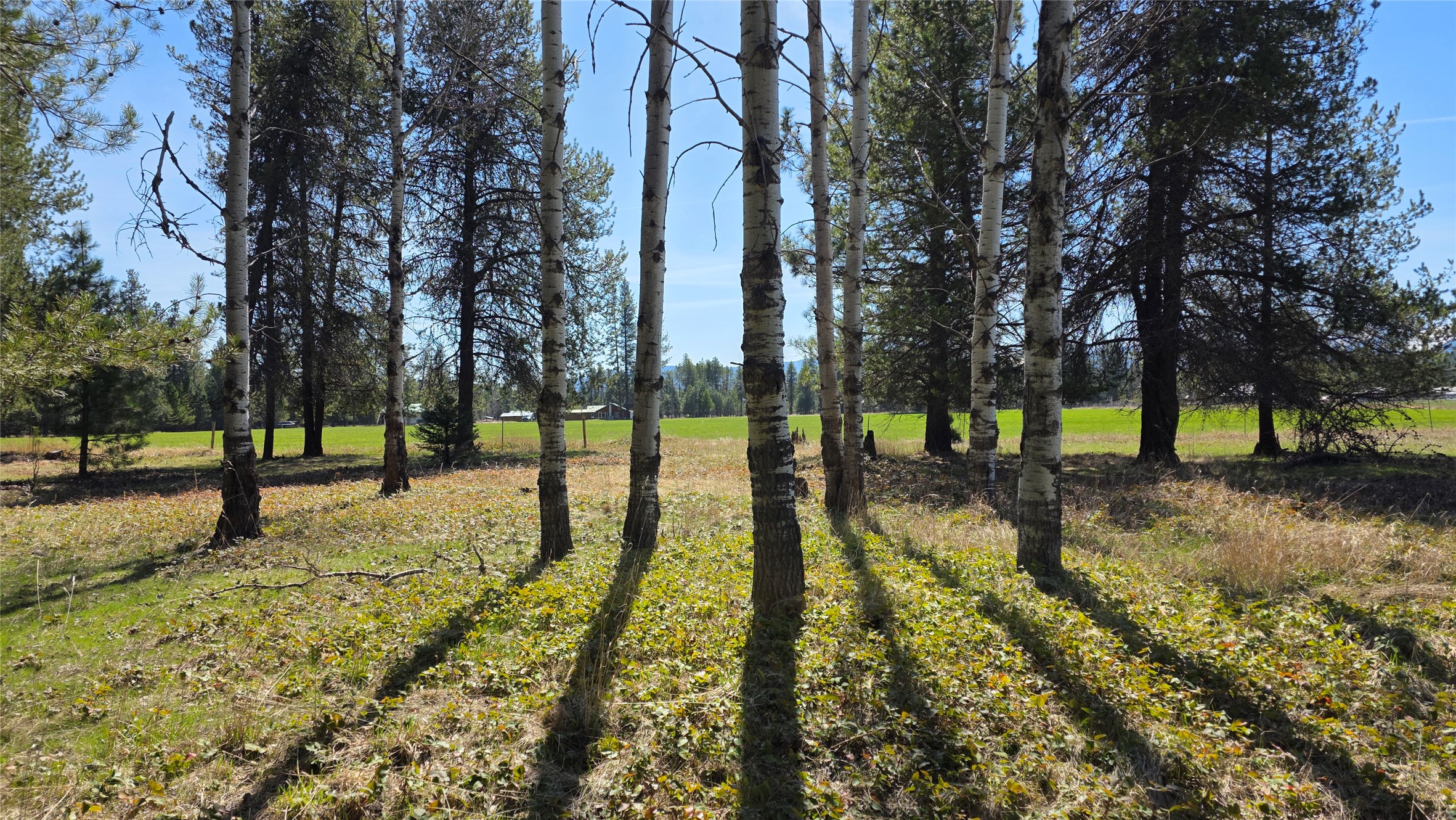 143 Horizon Drive Property Photo 3