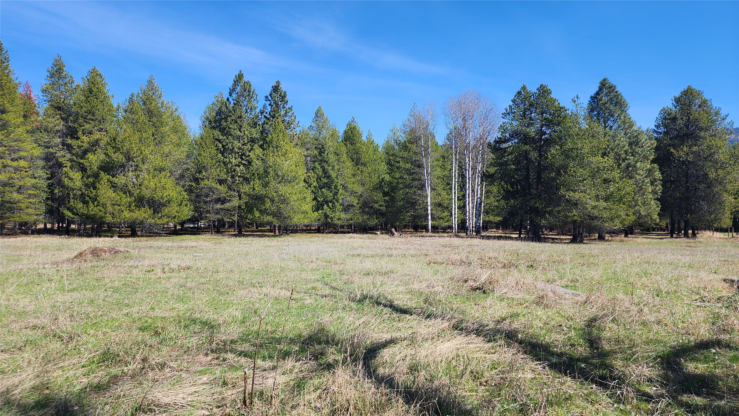 143 Horizon Drive Property Photo 4
