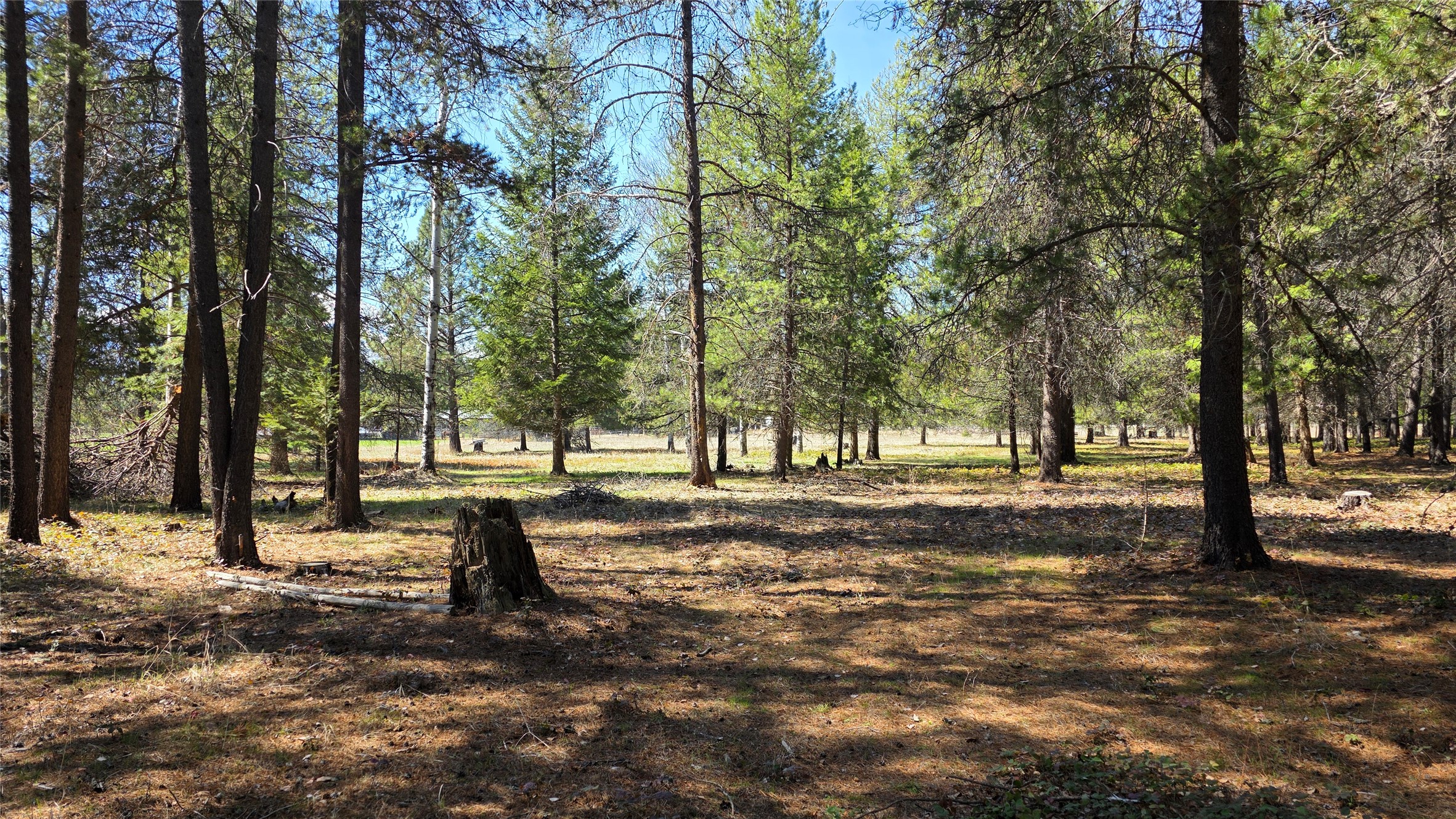 143 Horizon Drive Property Photo 5